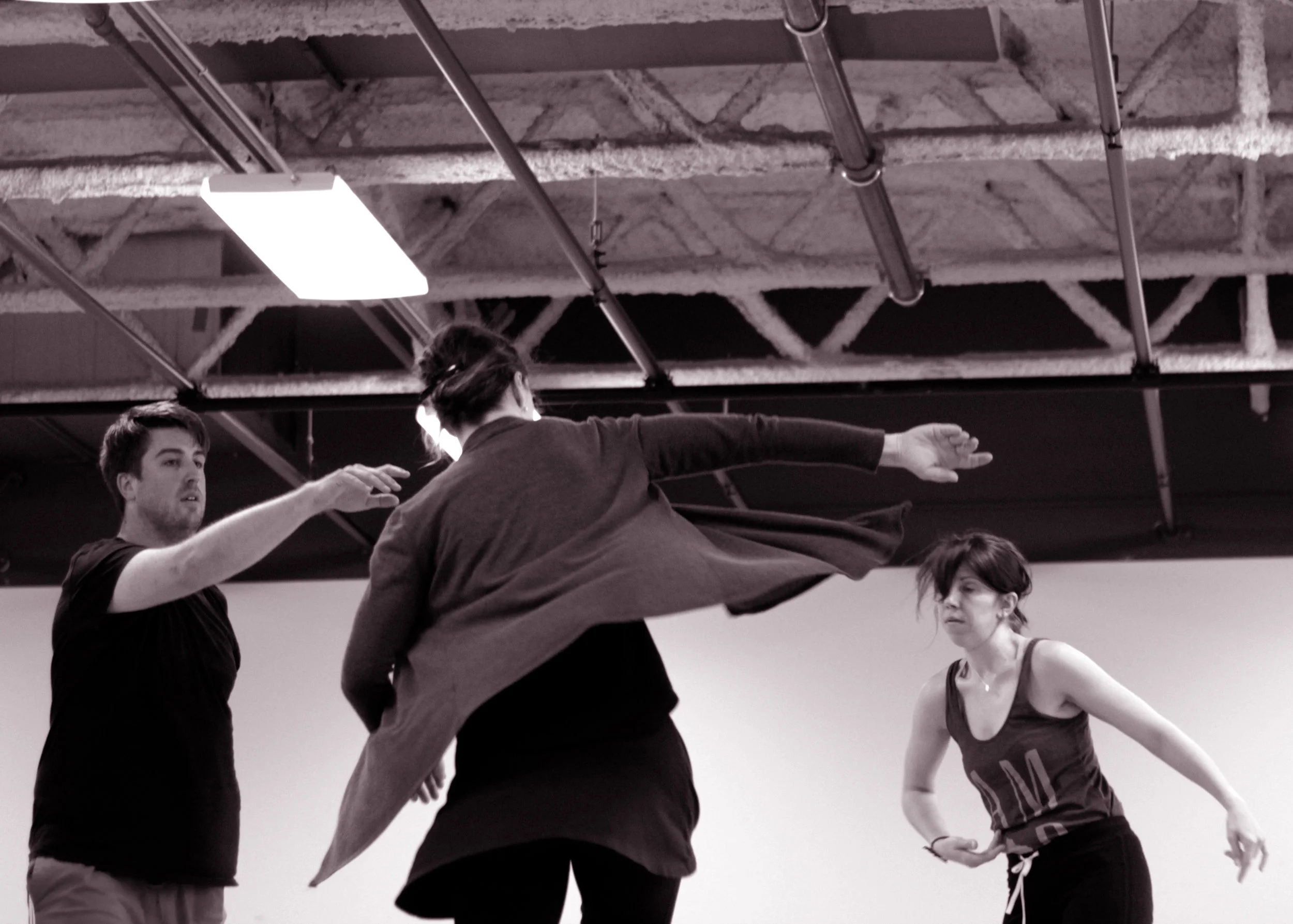 Rehearsals of Liminality (2017)