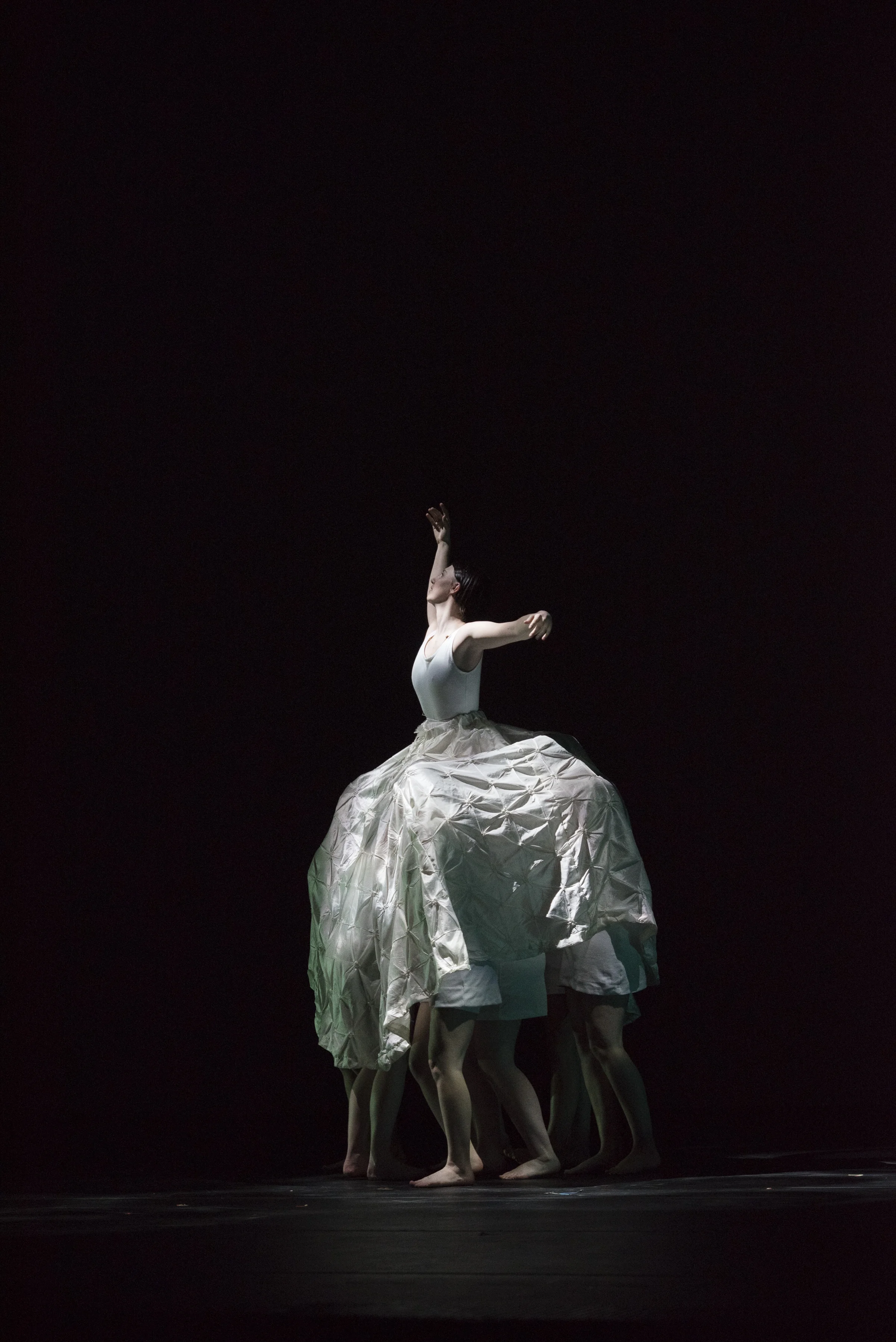 6 August 1931 (2017)