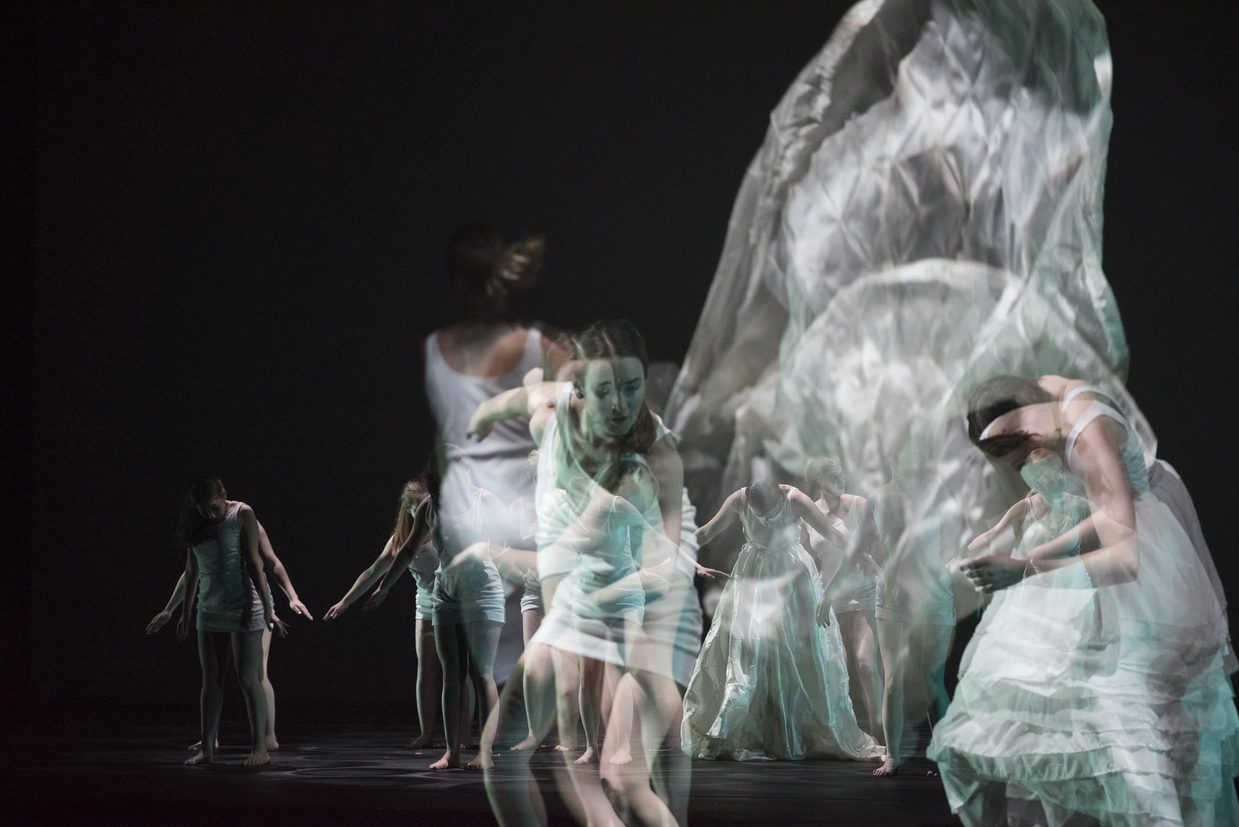 6 August 1931 (2017)