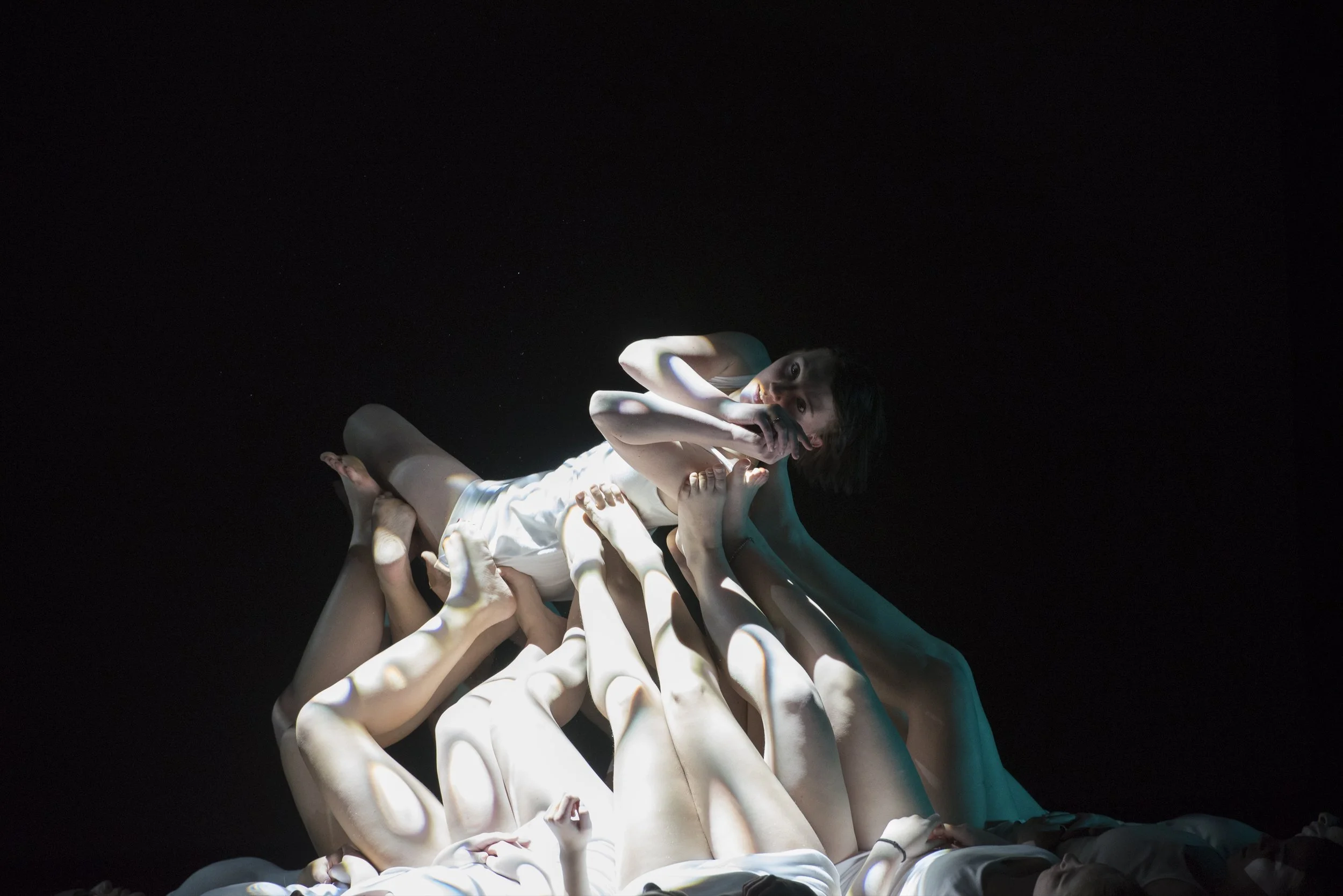 6 August 1931 (2017)