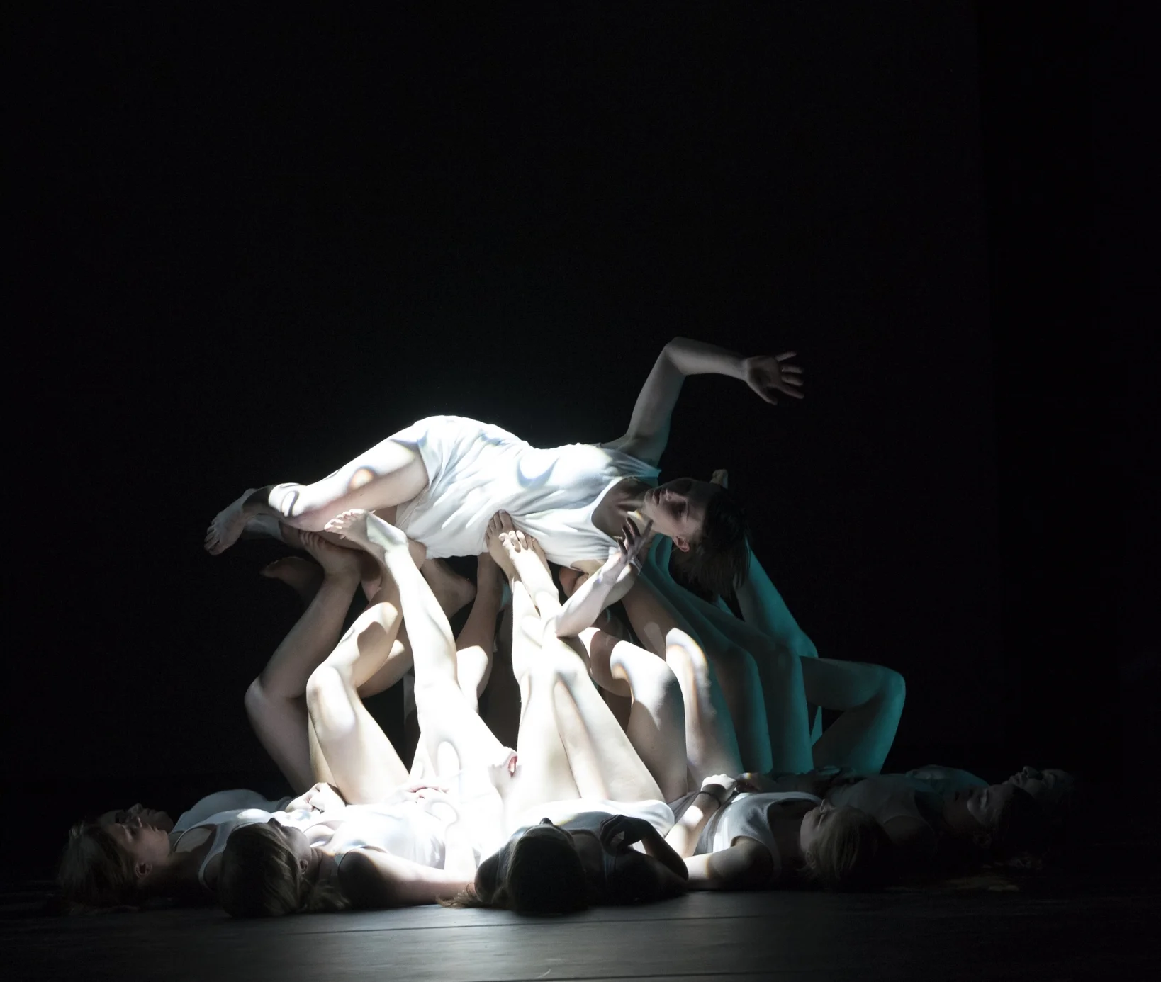 6 August 1931 (2017)