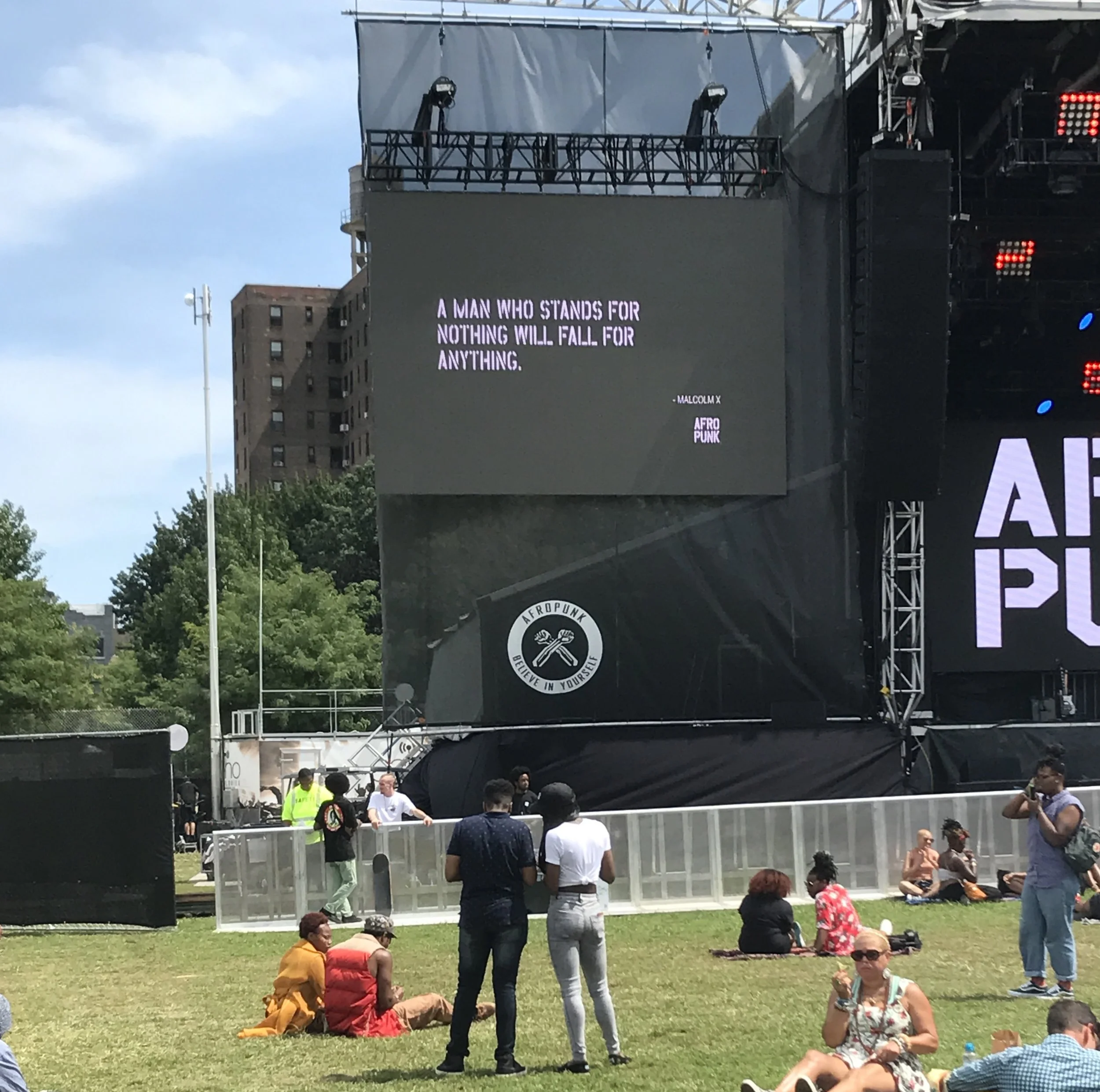 #Afropunkfest