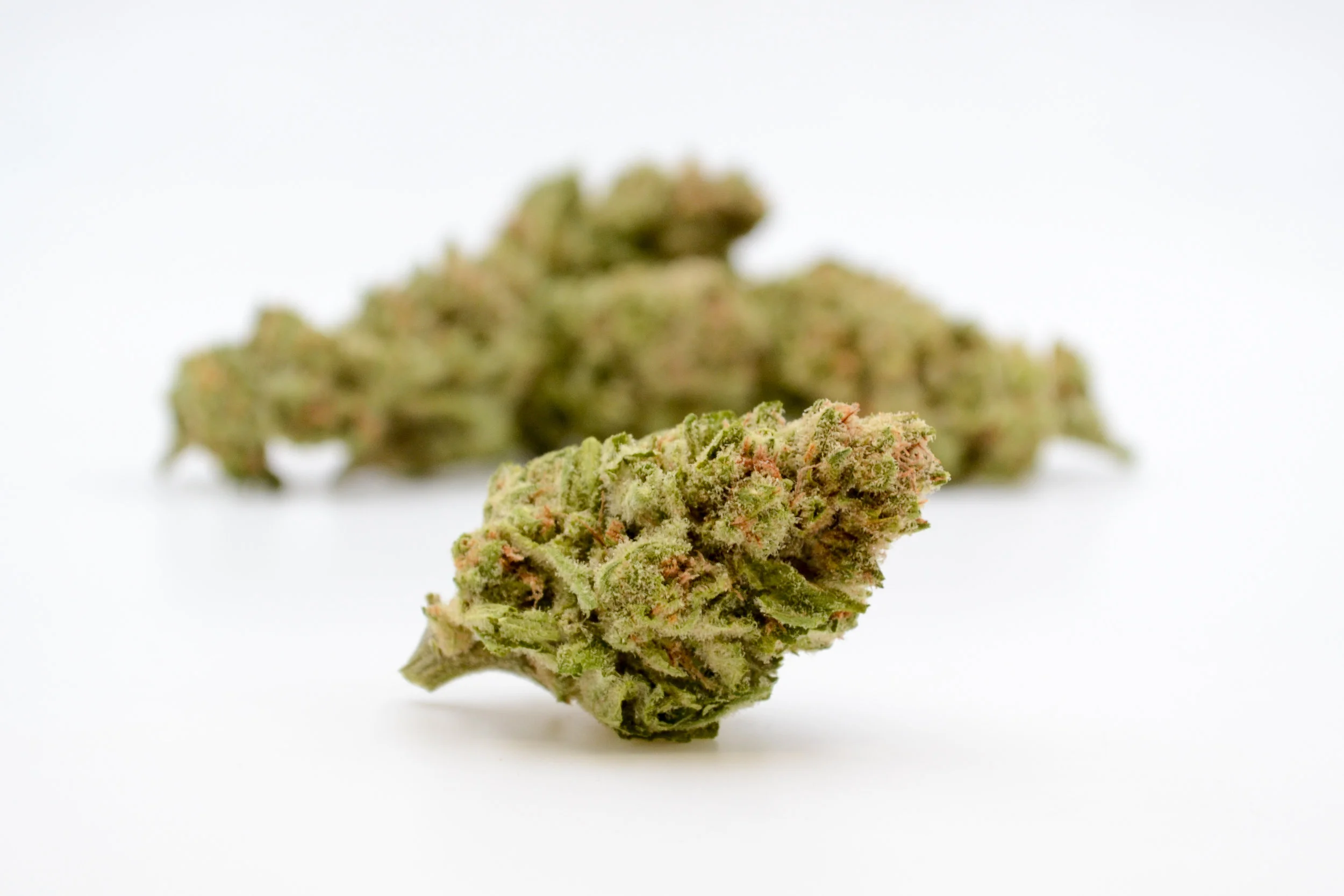 Product Highlight: Cherry Vortex