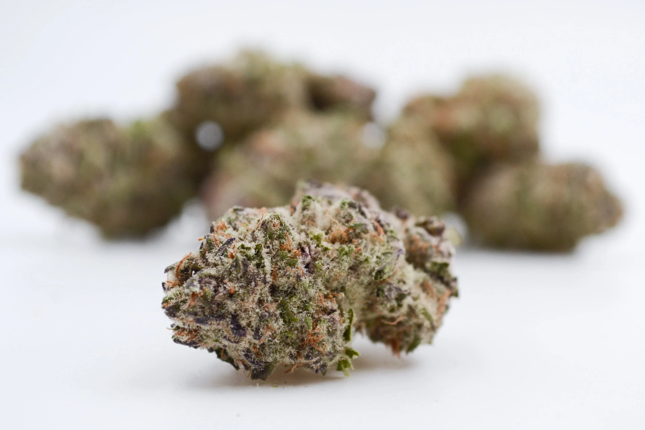 Product Highlight: Purple Punch