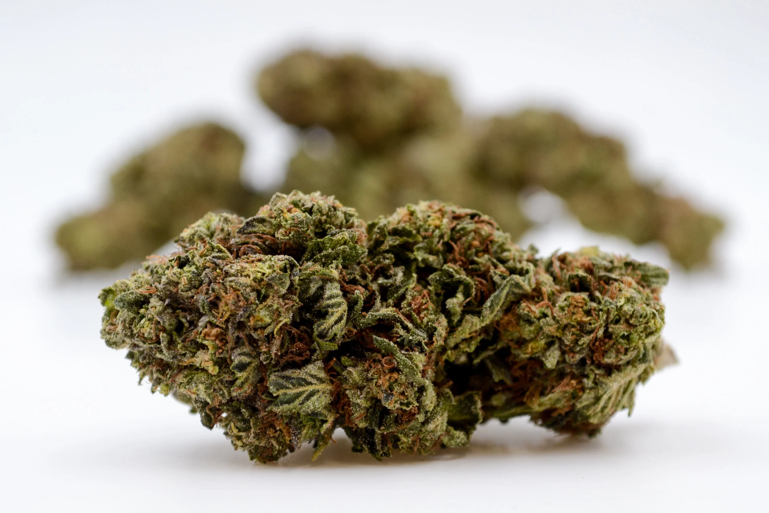 SunsetSherbert_101_0114.jpg