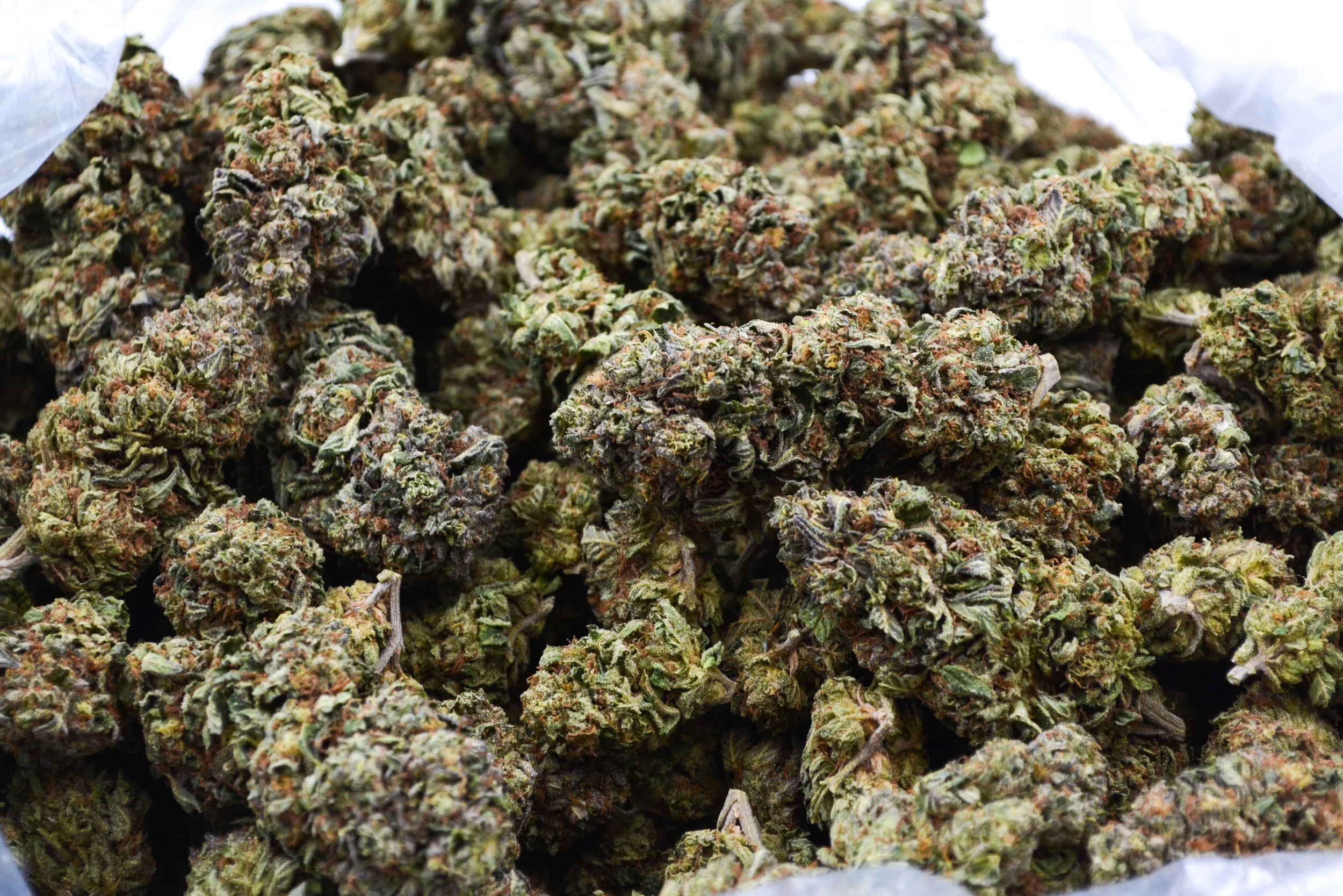 SunsetSherbert_101_0110.jpg