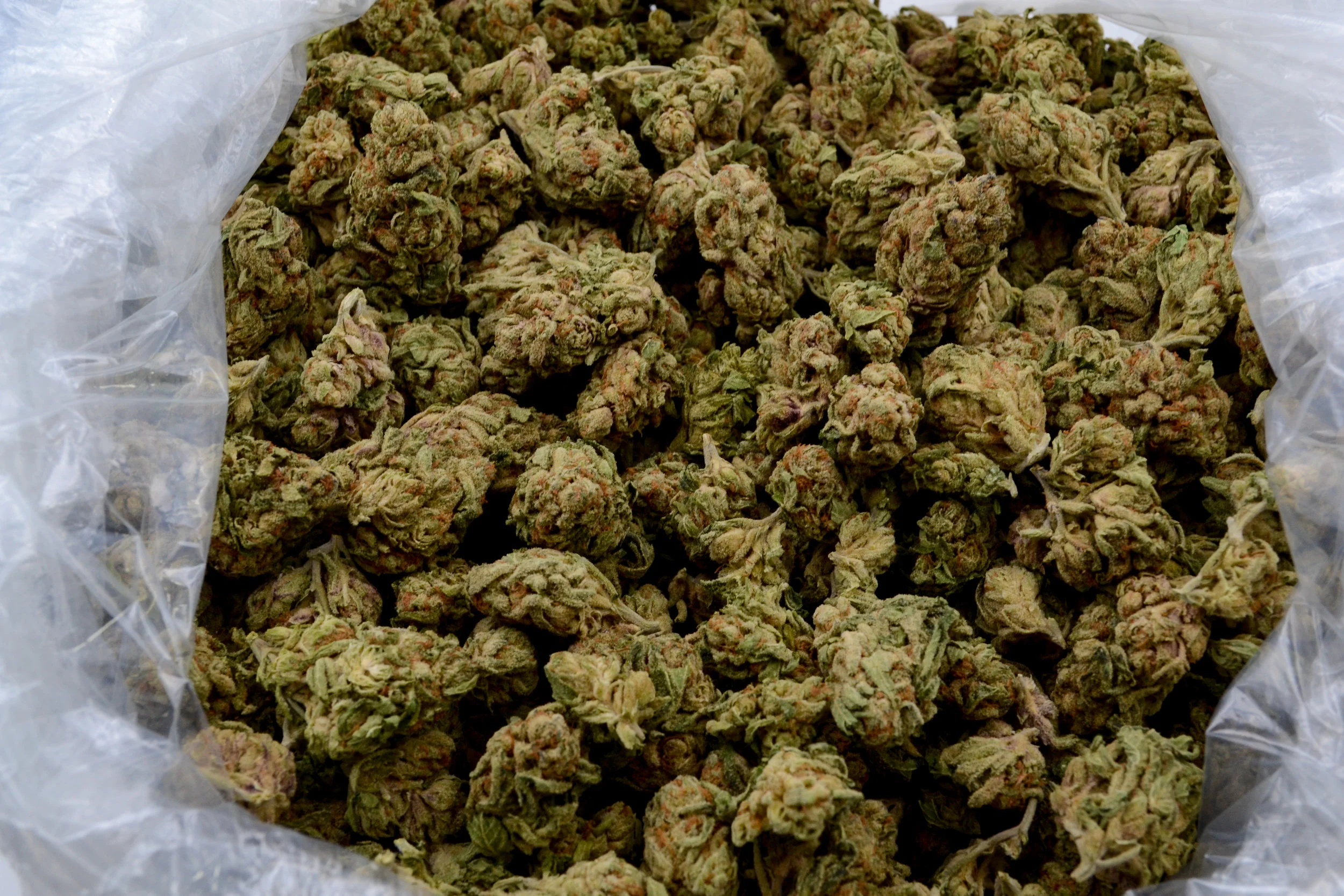 Sour Cookies_103_0173.jpg