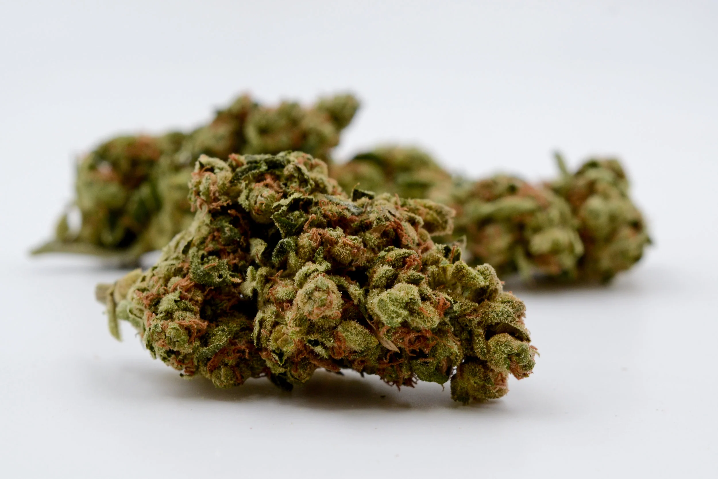 SourDiesel_0232.jpg