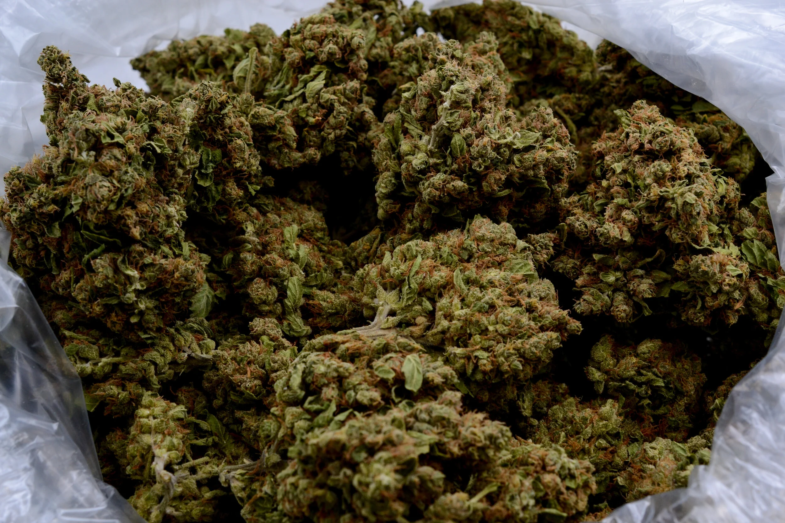 101_JackOG_0143.jpg