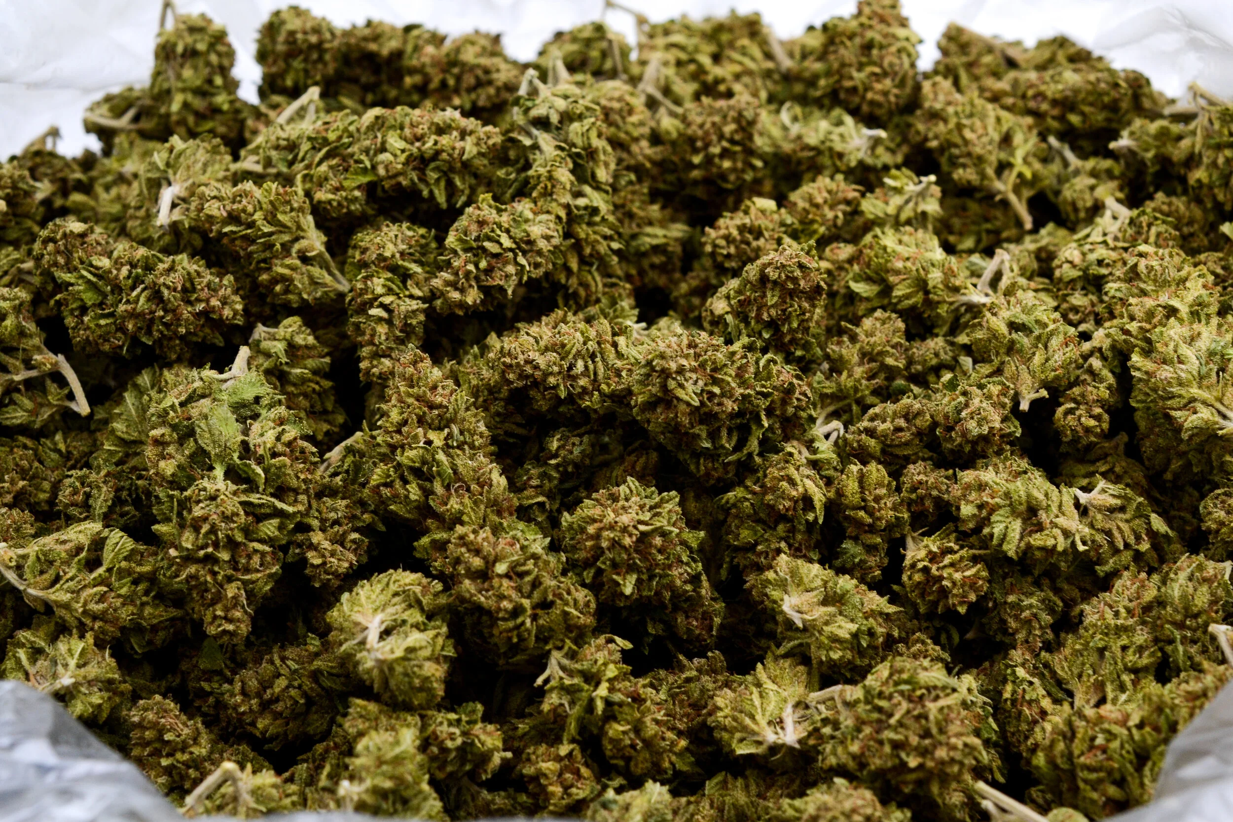 101_TrueOG_0158.jpg