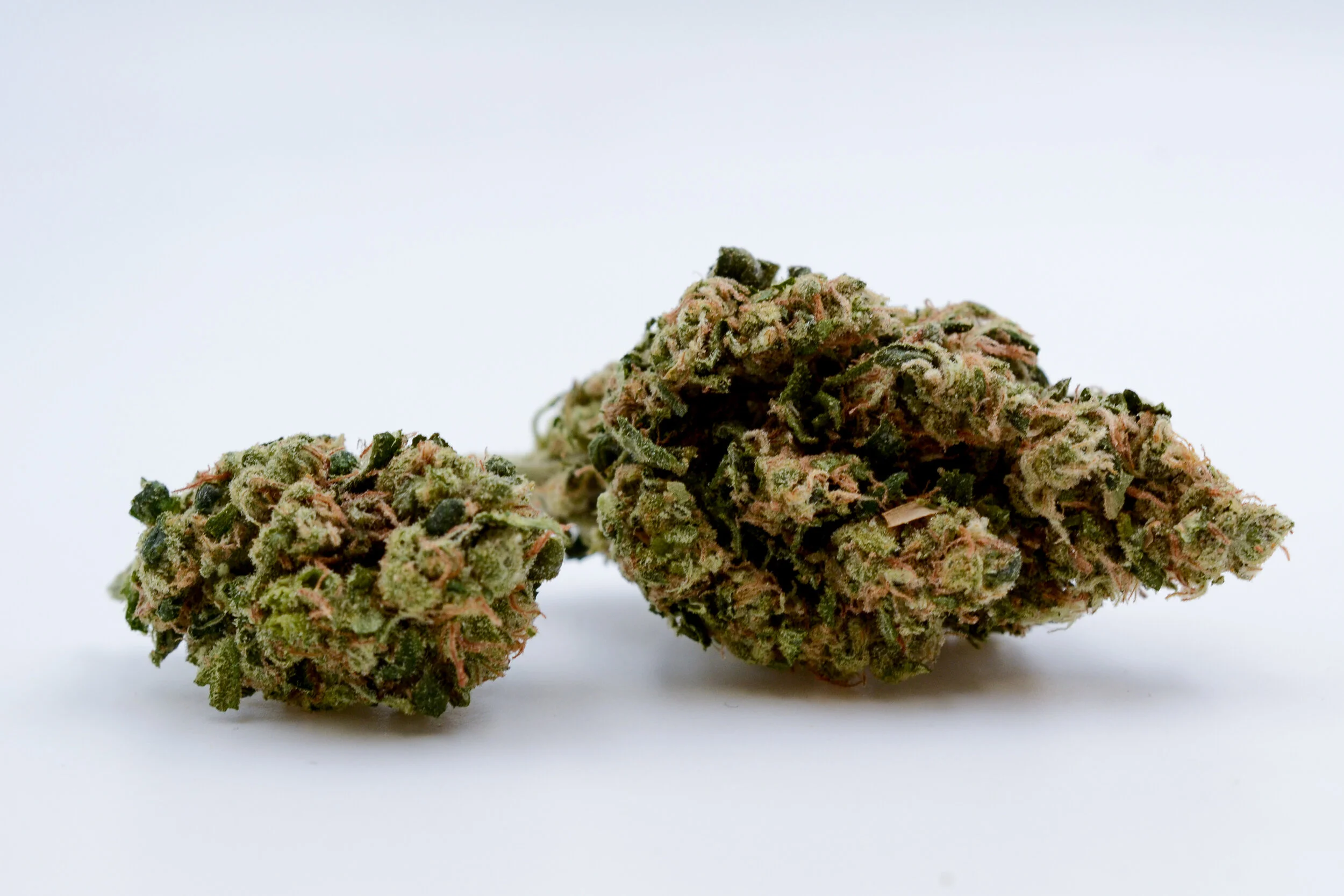 102_SourDiesel-1154_0258.jpg