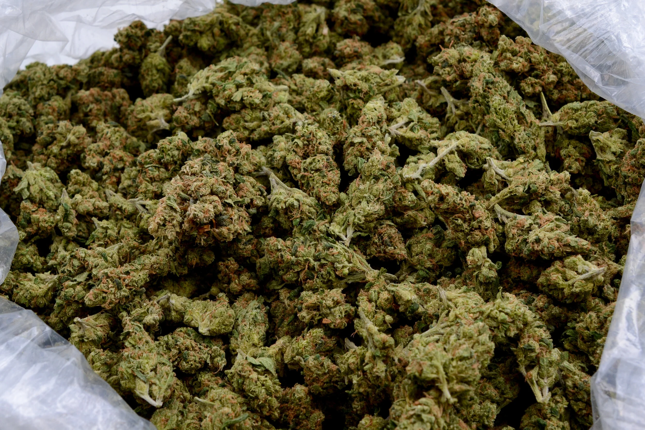 102_SourDiesel-1154_0256.jpg