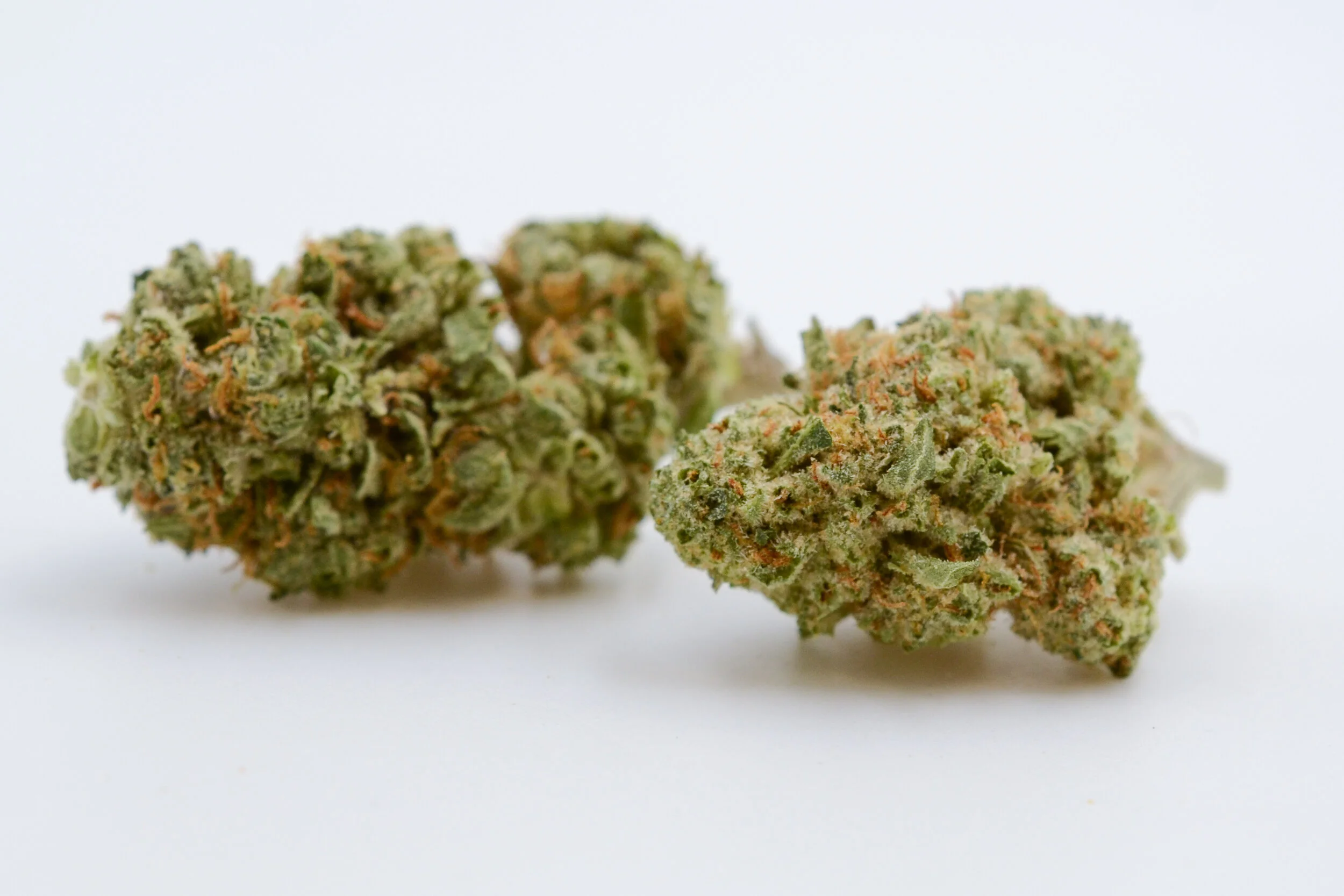 102_MendoBreath_0324.jpg