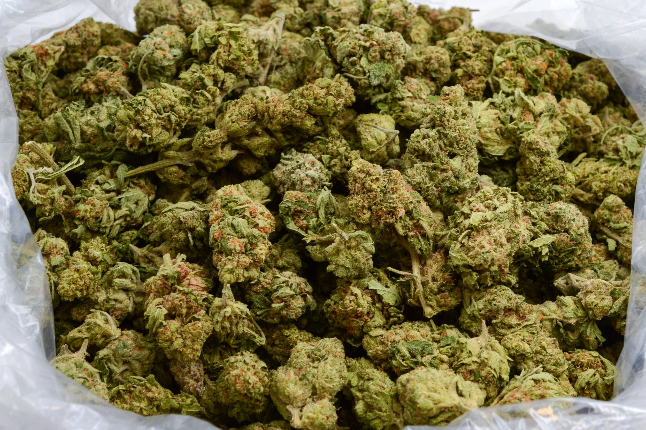 102_Cookies_0133.jpg