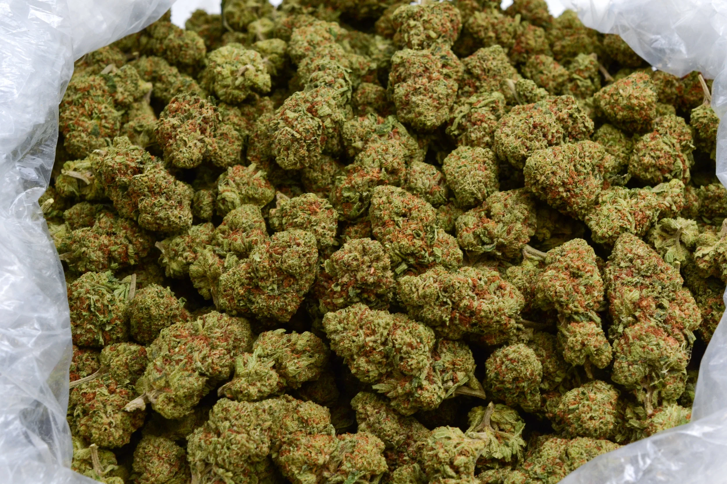 101_BTY OG_0180.jpg