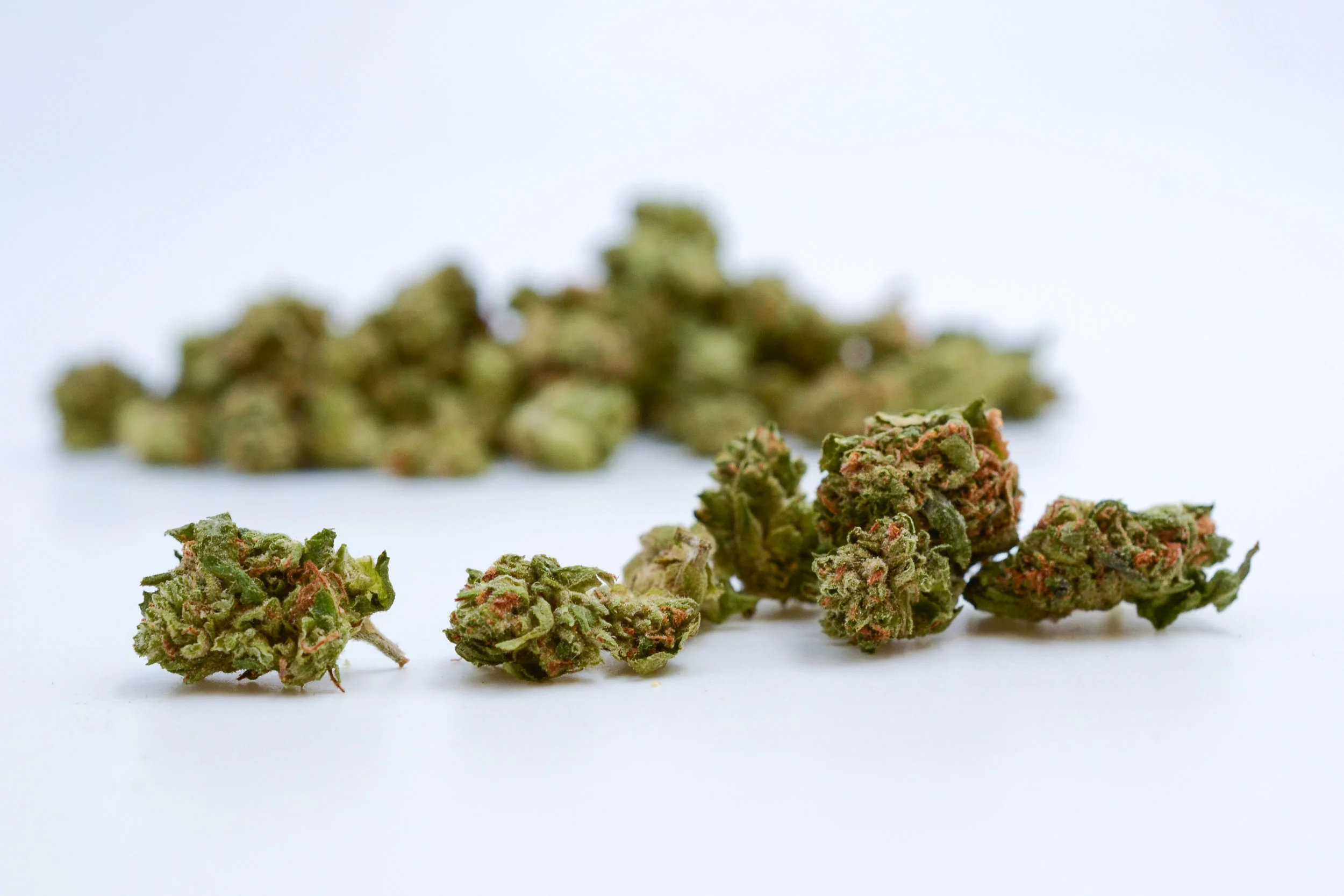 104_PR OG_0318.jpg