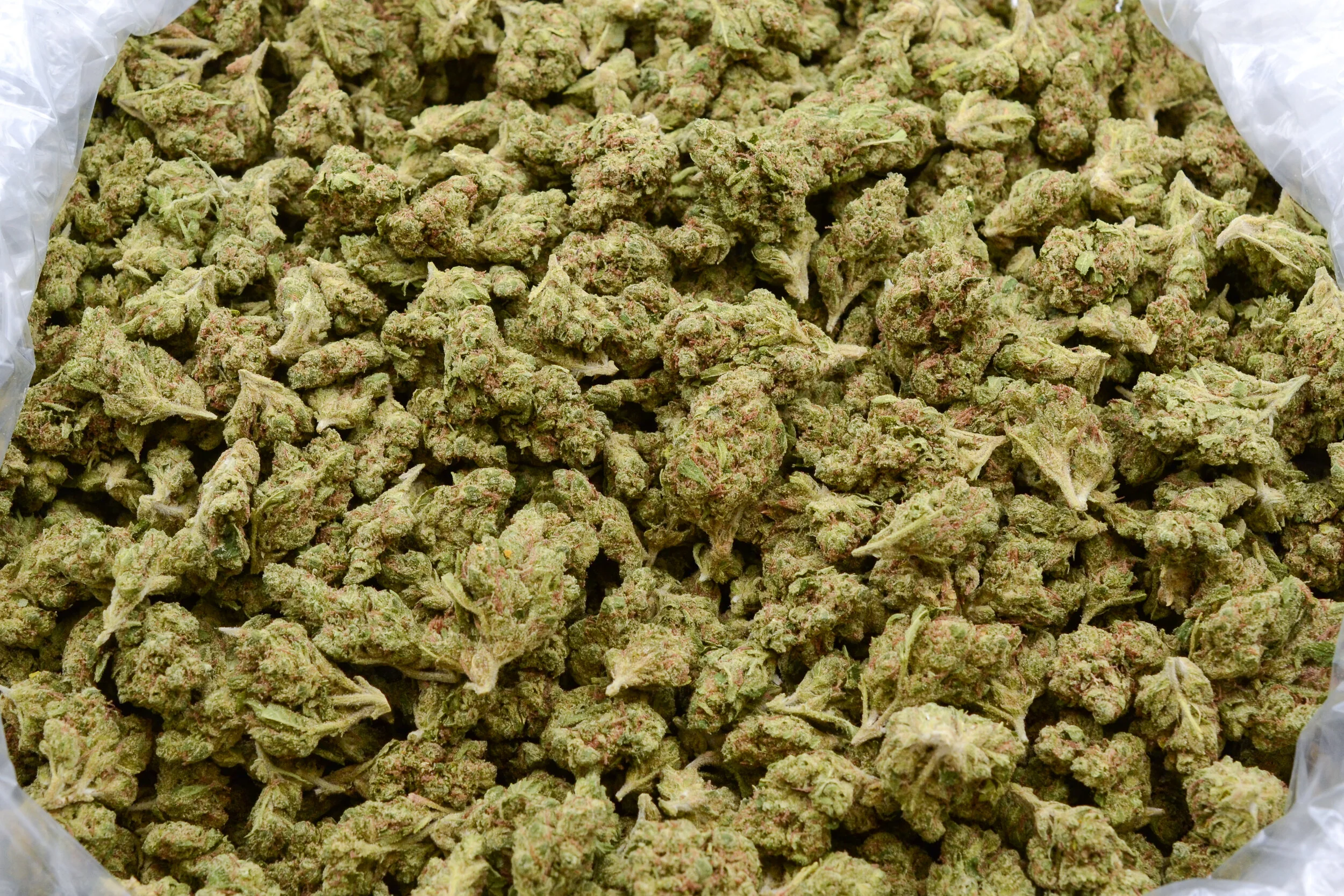 101_SourDiesel_190923-199-0461-SOD-01_0539.jpg