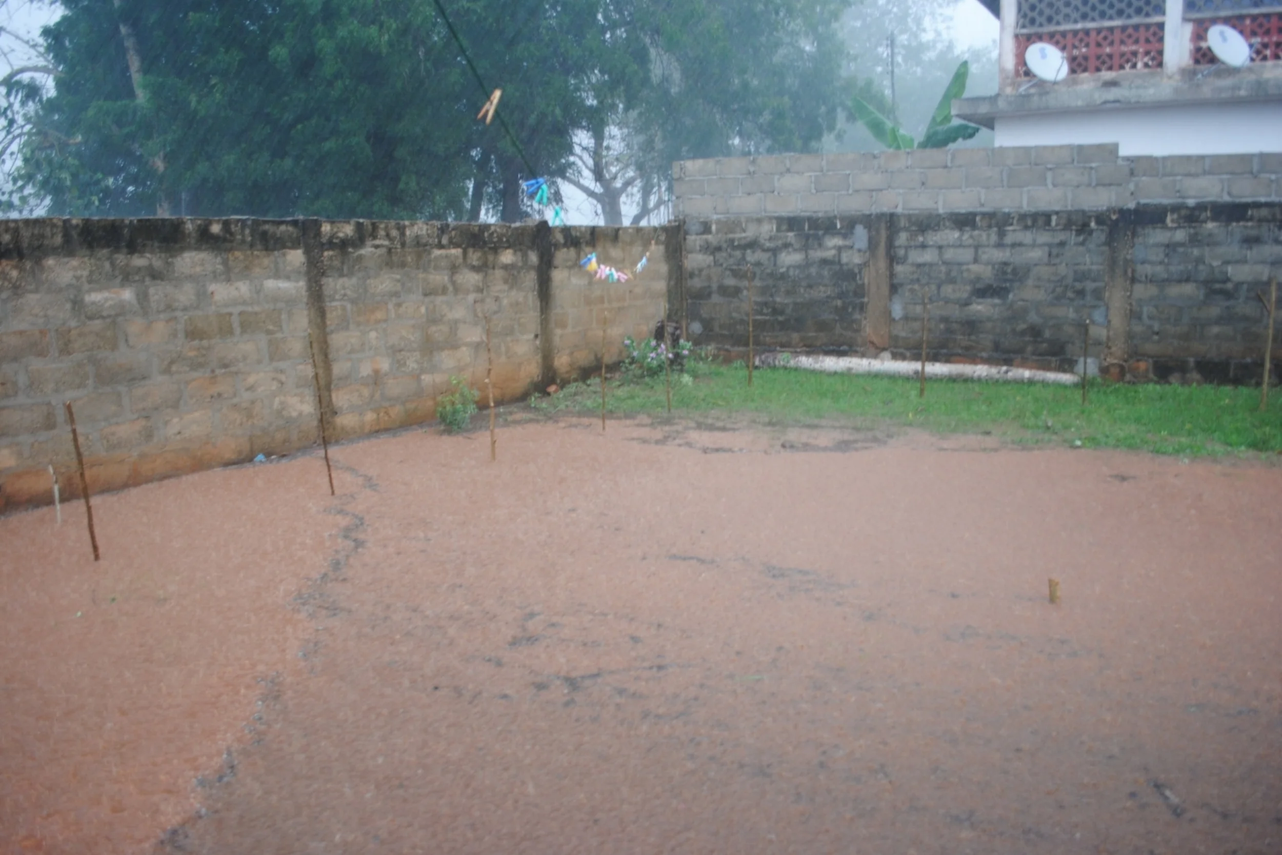 Nothing like a Ghana thunderstorm. Look at how tiny the Moringa trees are!