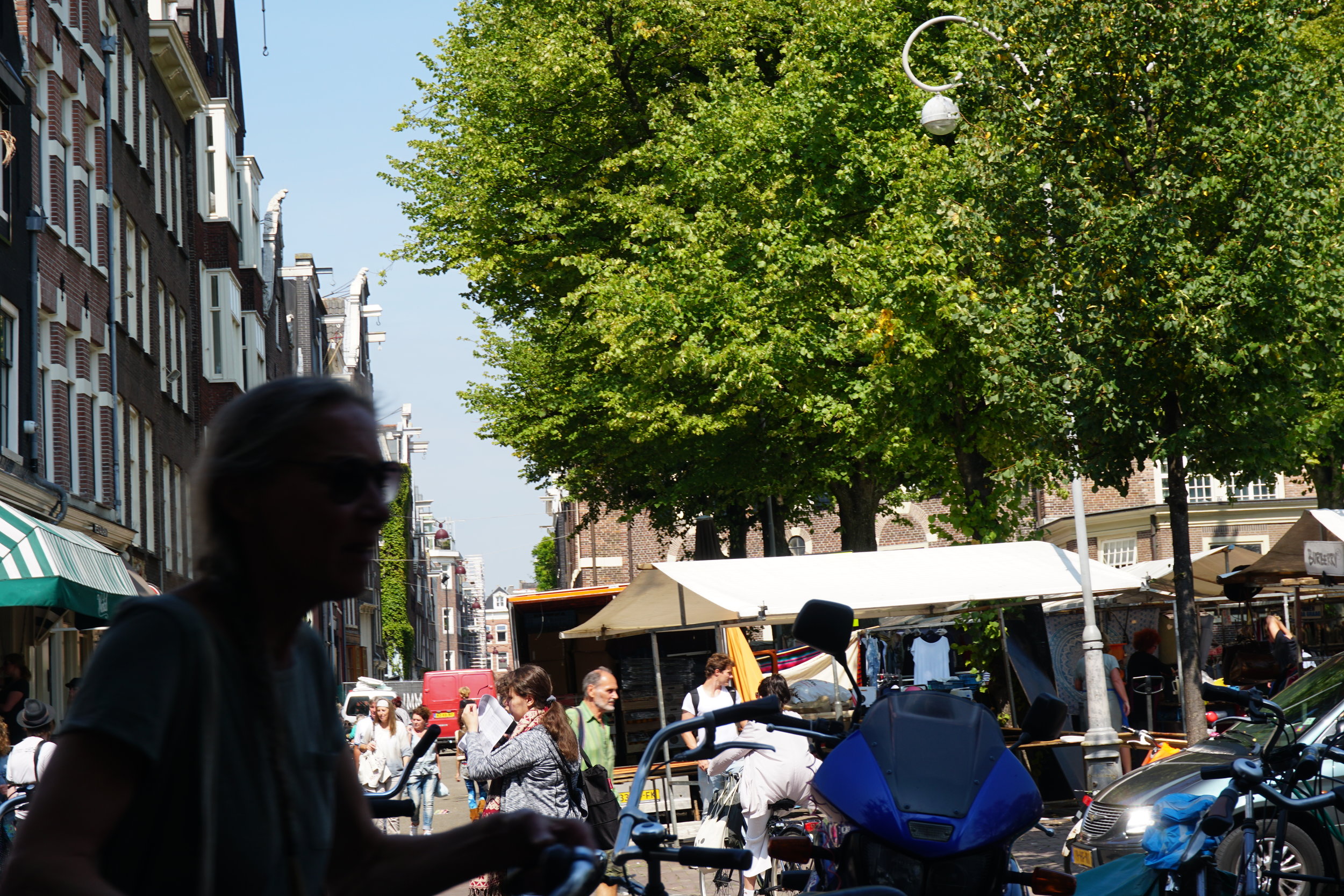 DSC01231.JPG