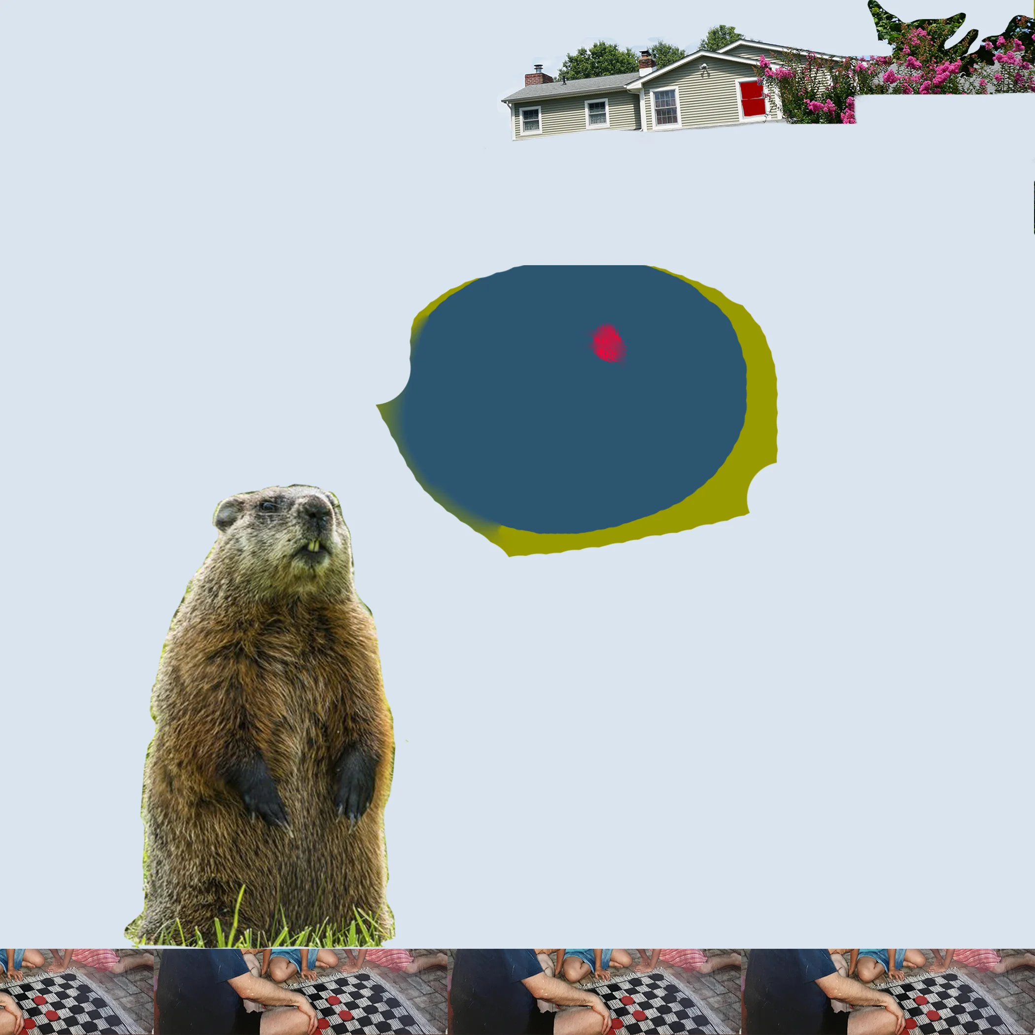 collage_2.jpg