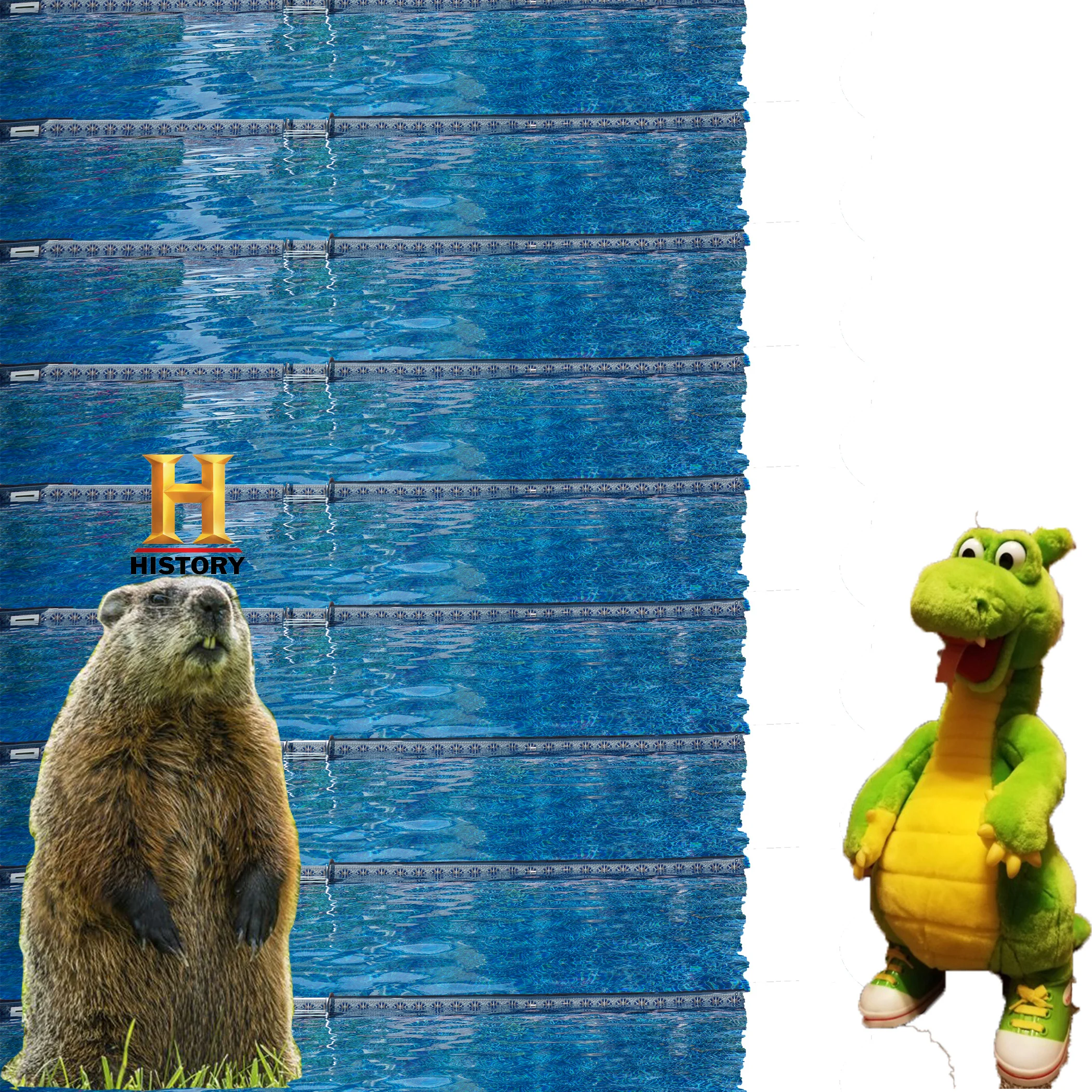 collage_3.jpg