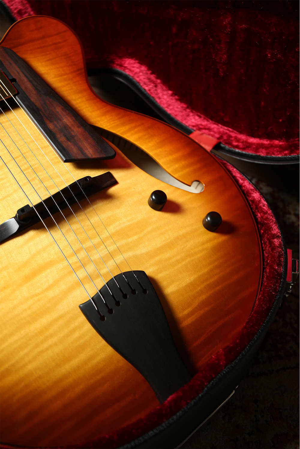 2024 Sadowsky Jim Hall Signature — GUITARSOFA SHOP
