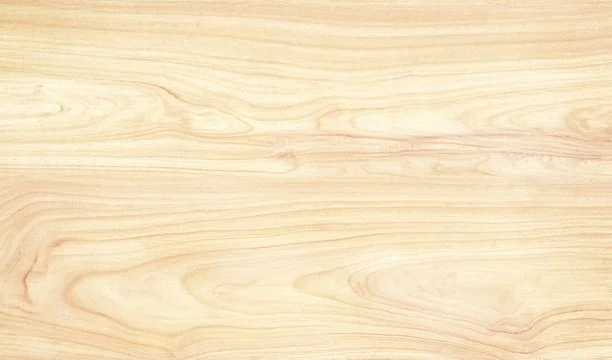 Birch.jpg