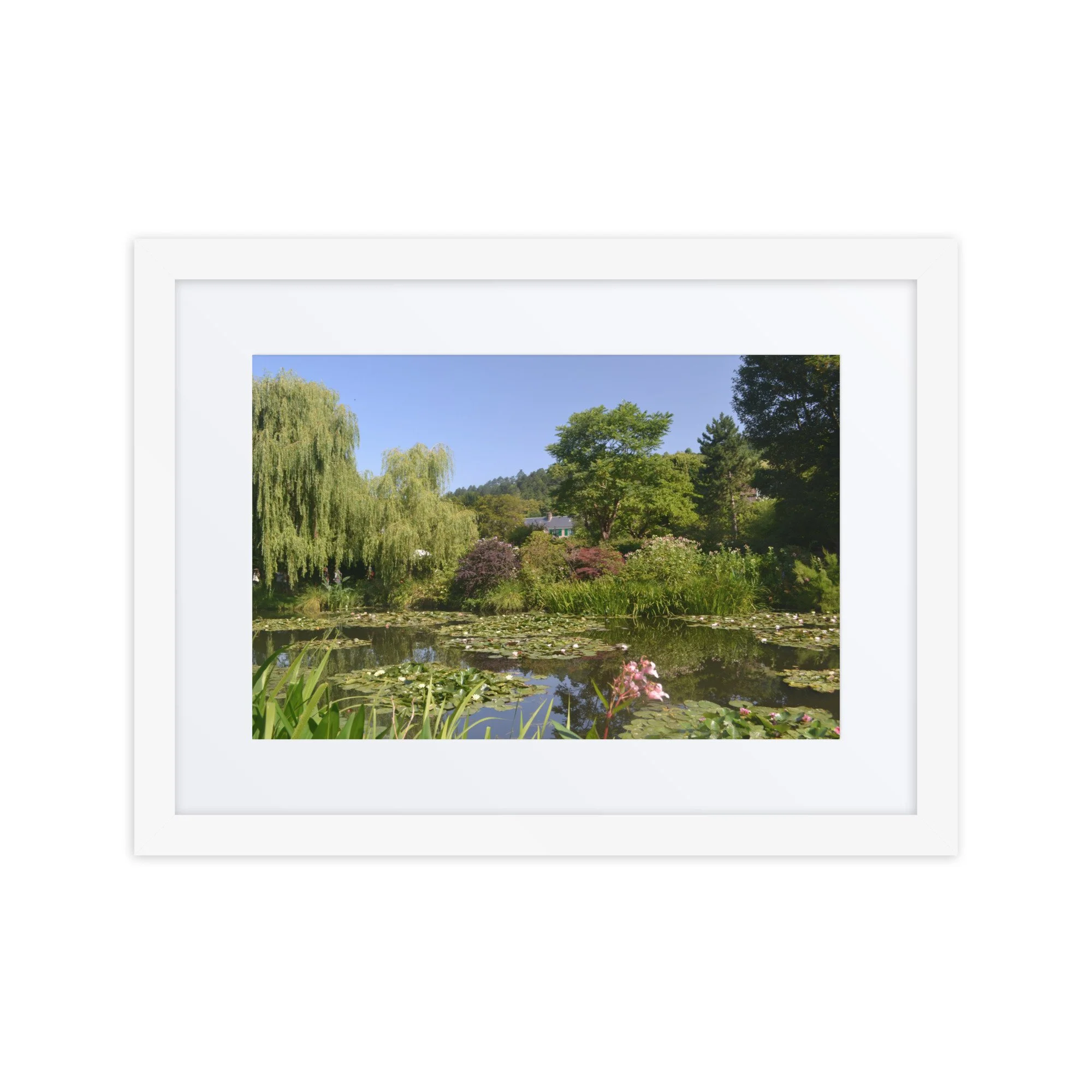 matte-paper-framed-poster-with-mat-(in)-white-12x16-front-6a617a380da62.jpg