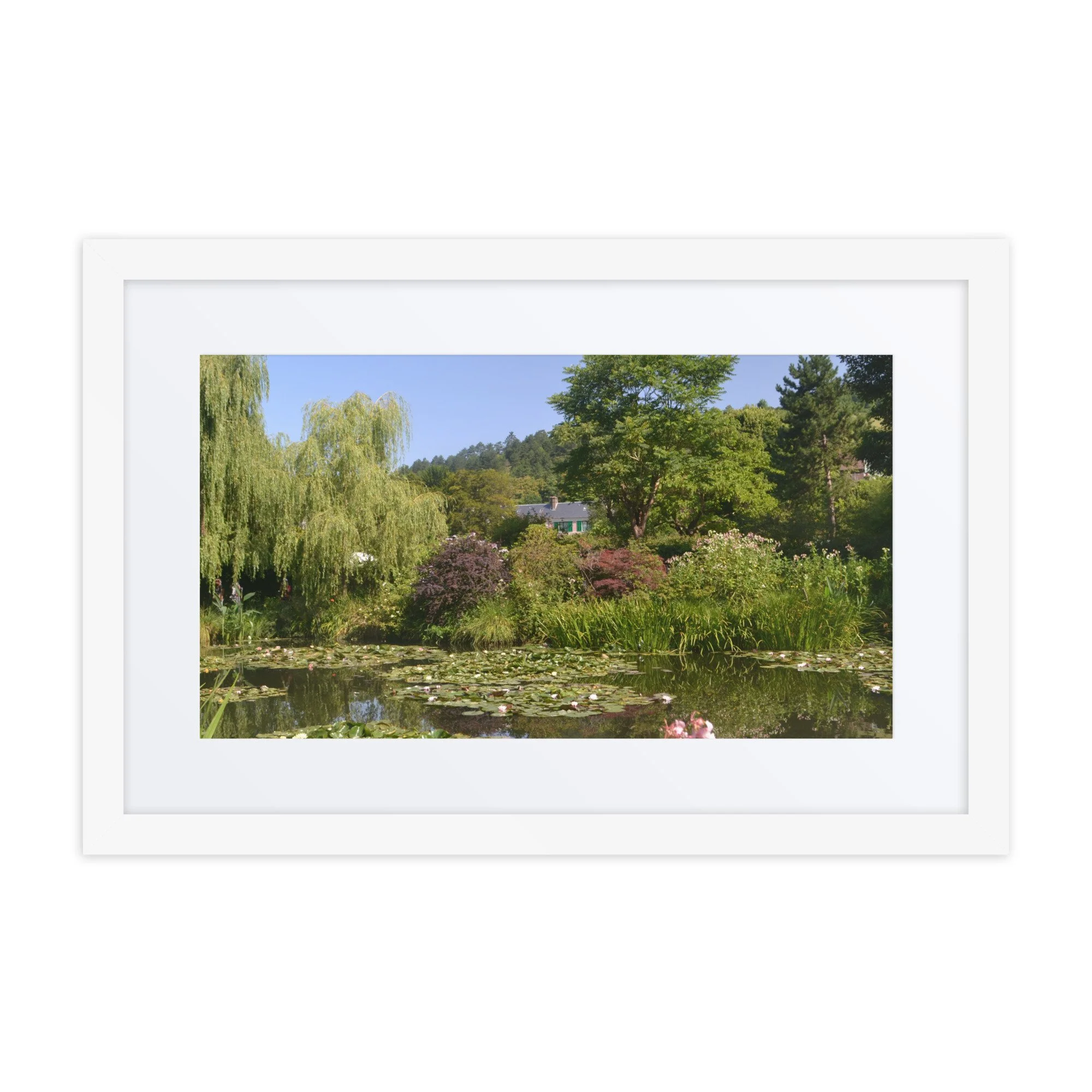 matte-paper-framed-poster-with-mat-(in)-white-12x18-front-6a617a380ebd8.jpg