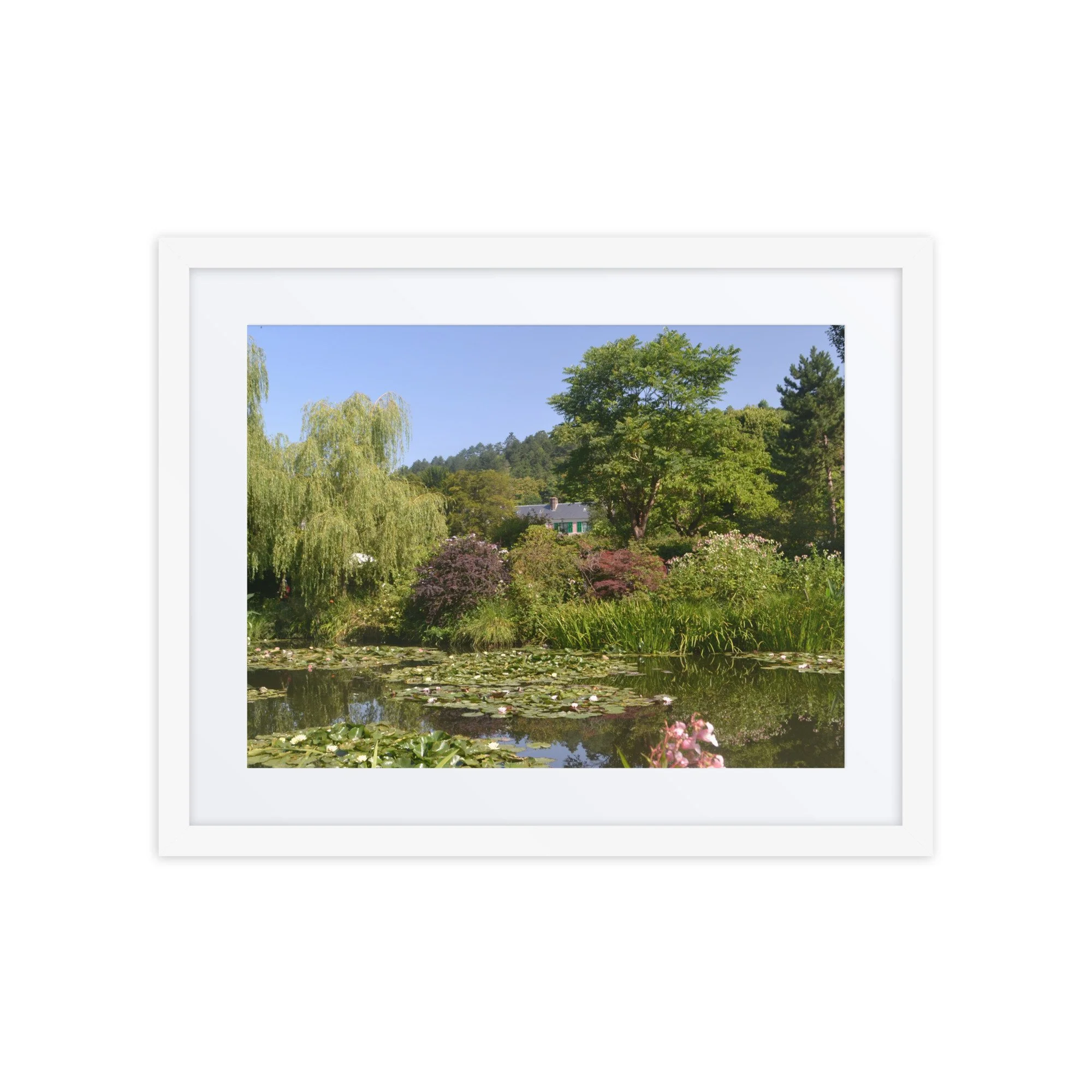 matte-paper-framed-poster-with-mat-(in)-white-16x20-front-6a617a380f51f.jpg