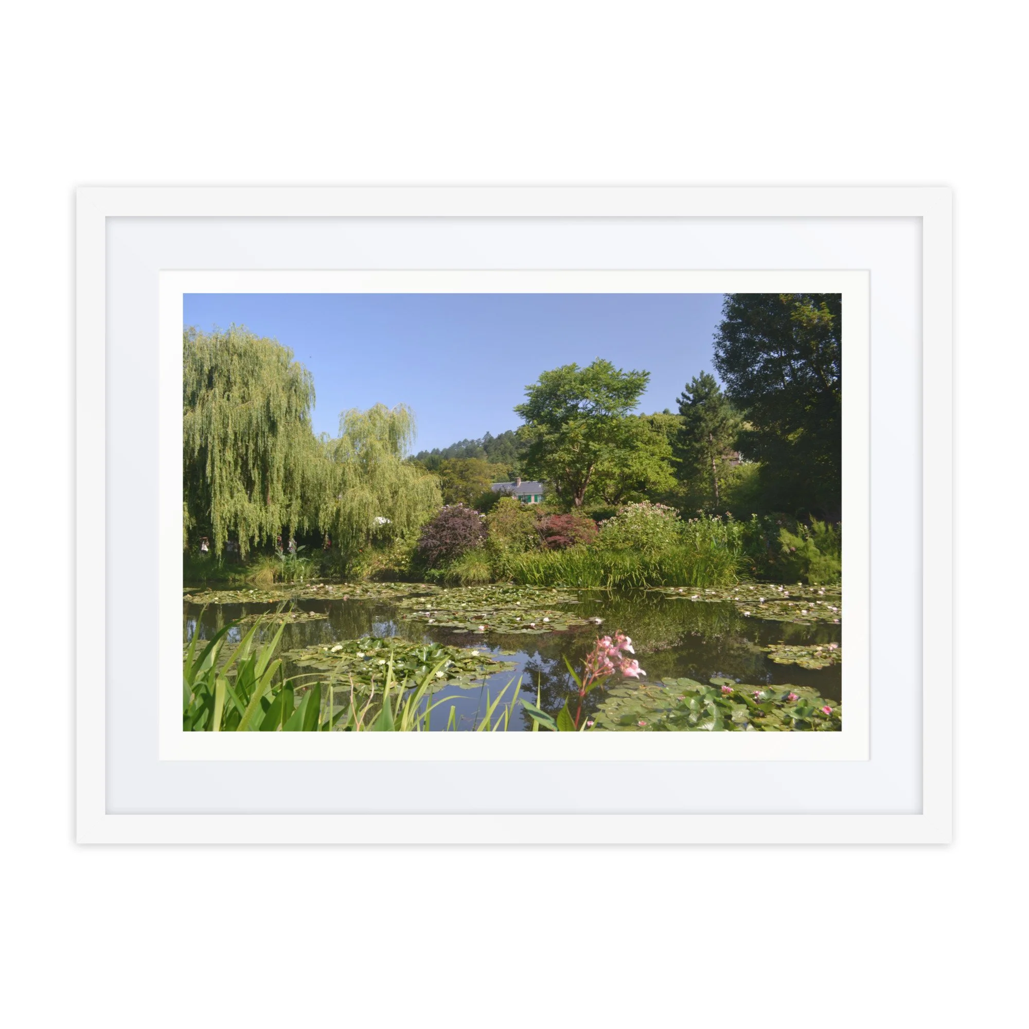 matte-paper-framed-poster-with-mat-(in)-white-18x24-front-6a617a380fe26.jpg