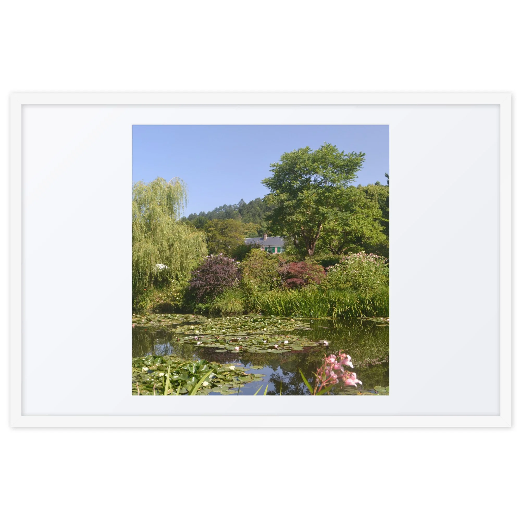 matte-paper-framed-poster-with-mat-(in)-white-24x36-front-6a617a3810718.jpg