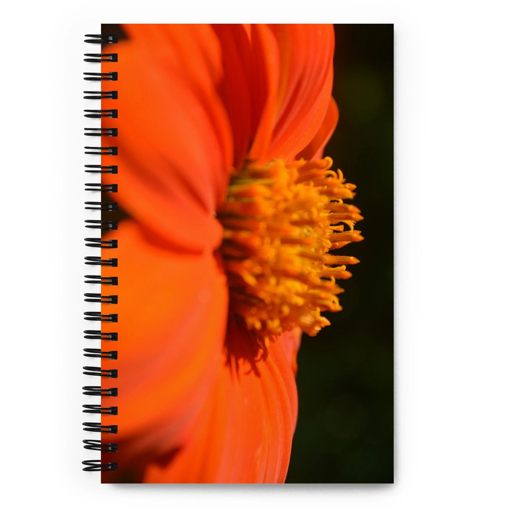 spiral-notebook-dotted-front-6a617d434bc01.jpg