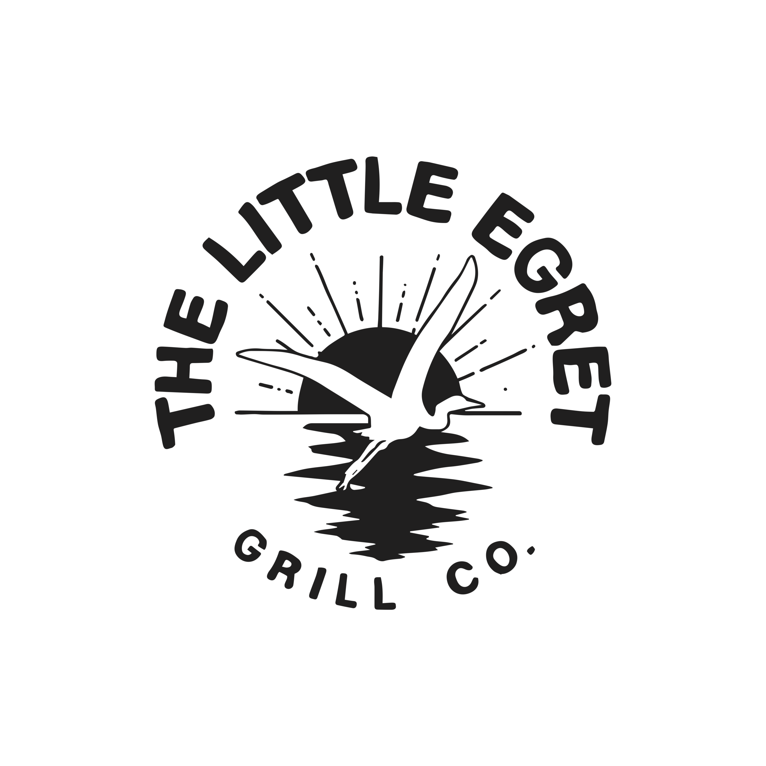 The Little Egret
