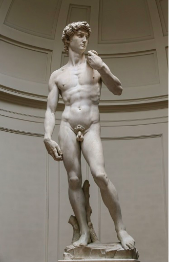 Michelangelo, David, 1501/04, Marble sculpture, 517 cm × 199 cm (17 ft × 6.5 ft), Galleria dell'Accademia.