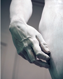 Michelangelo, David, detail                                              
