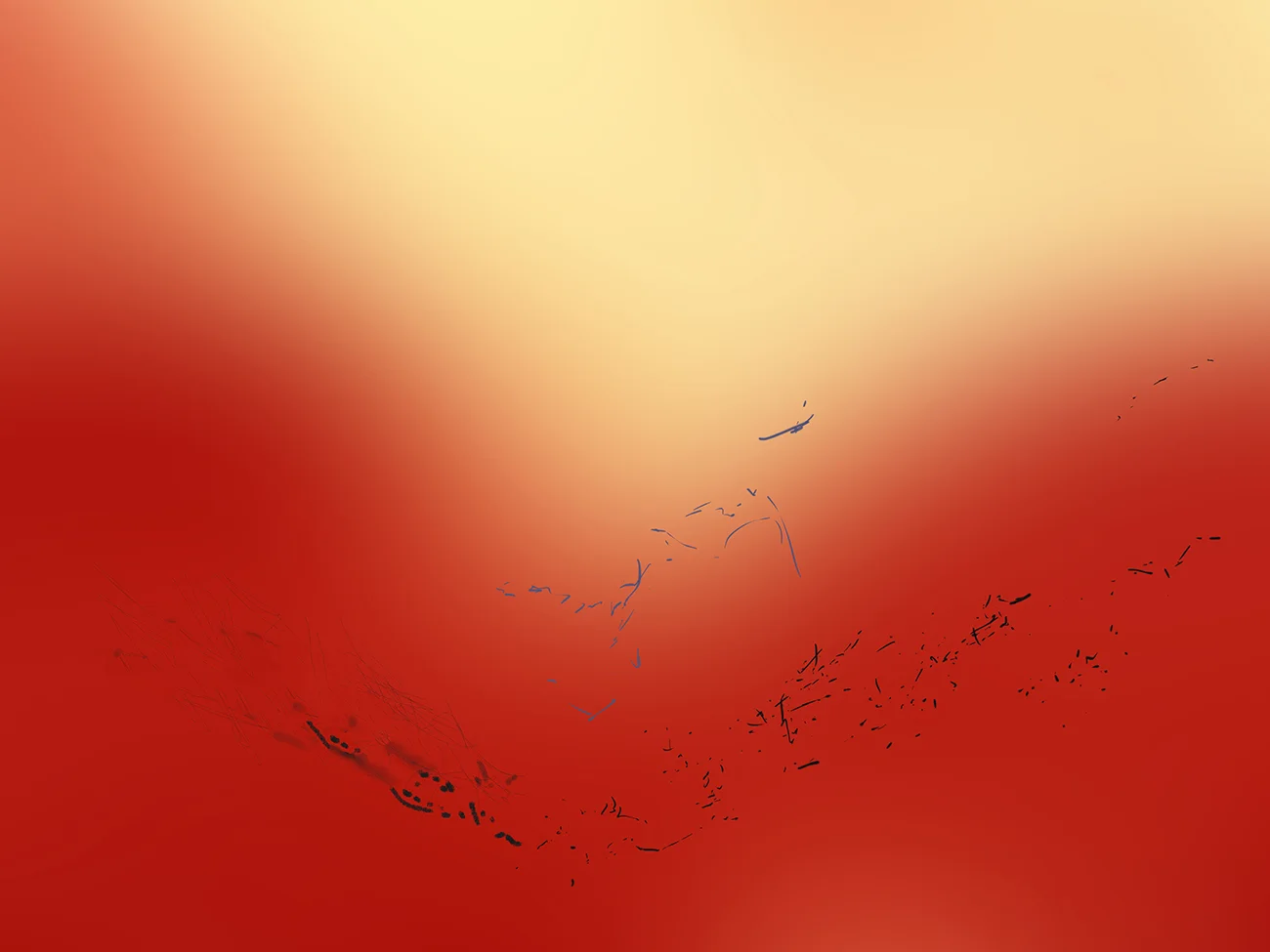 rot1 verkleinert für web.jpg