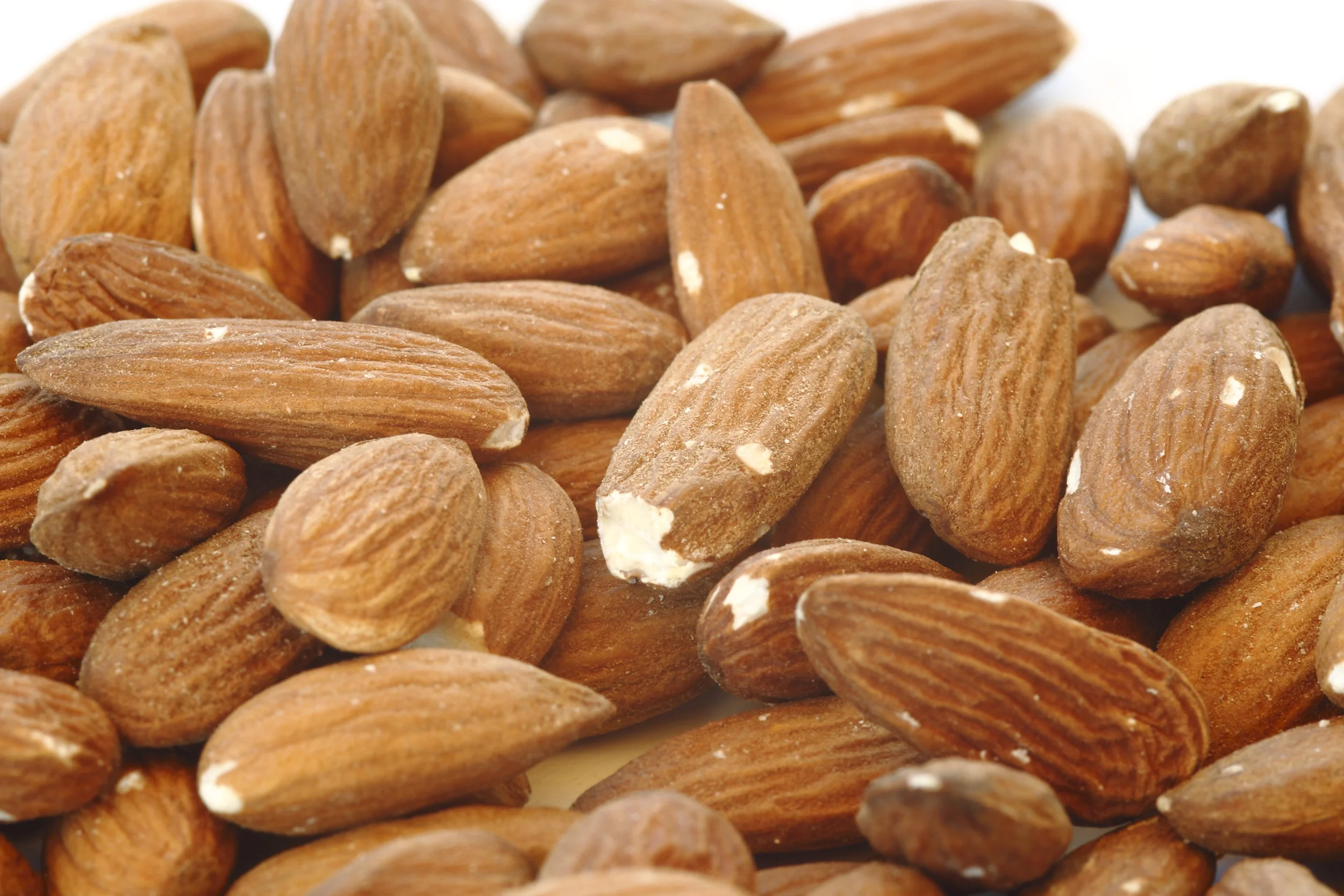 natural-abundance-raw-crackers-almond-apple-healthy-vegan-auckland-raw-almond