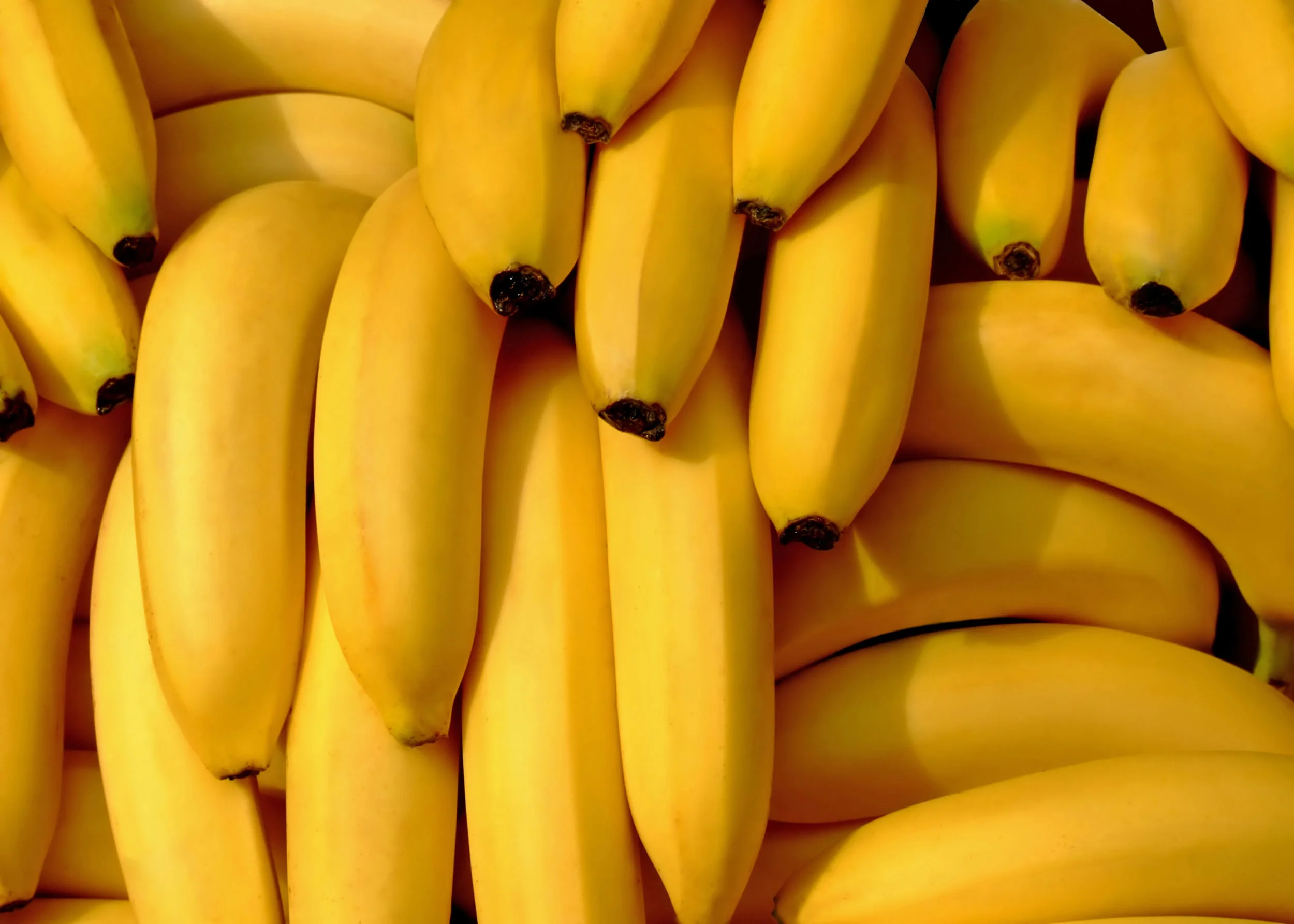 natural-abundance-raw-crackers-banana-thins-healthy-vegan-auckland-raw-banana
