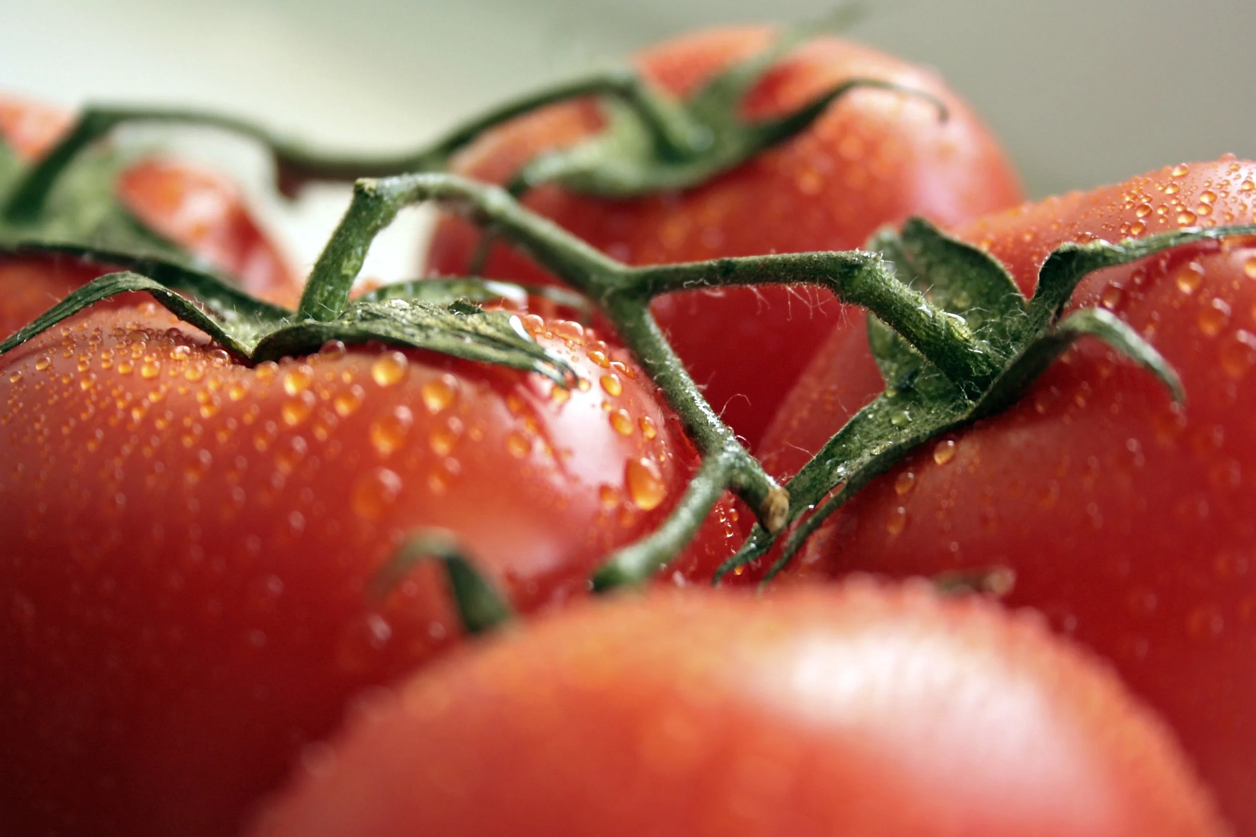 natural-abundance-raw-crackers-raw-vita-healthy-vegan-auckland-raw-tomato