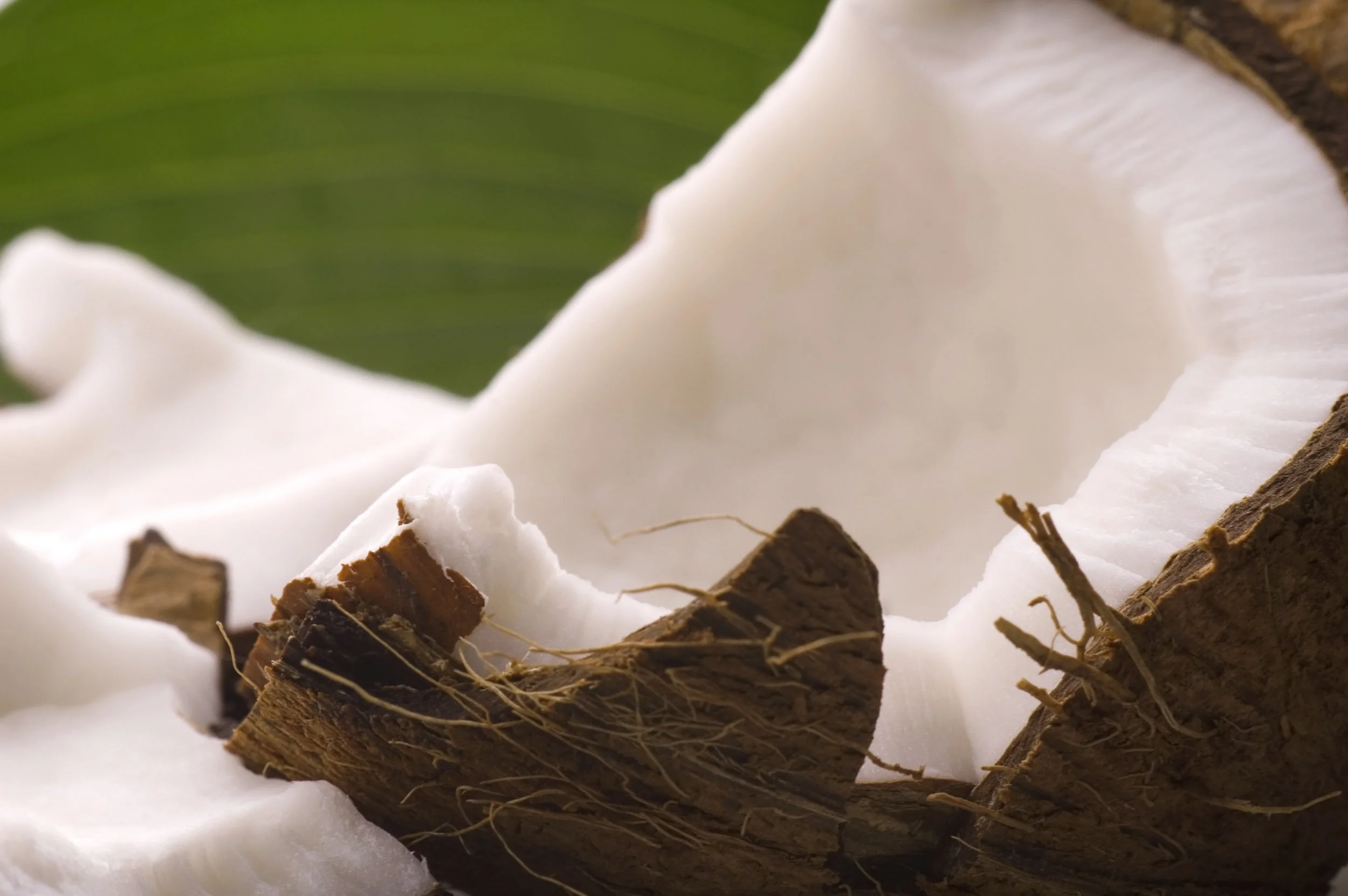 natural-abundance-paleo-cakes-ultimate-brownie-healthy-auckland-raw-coconut