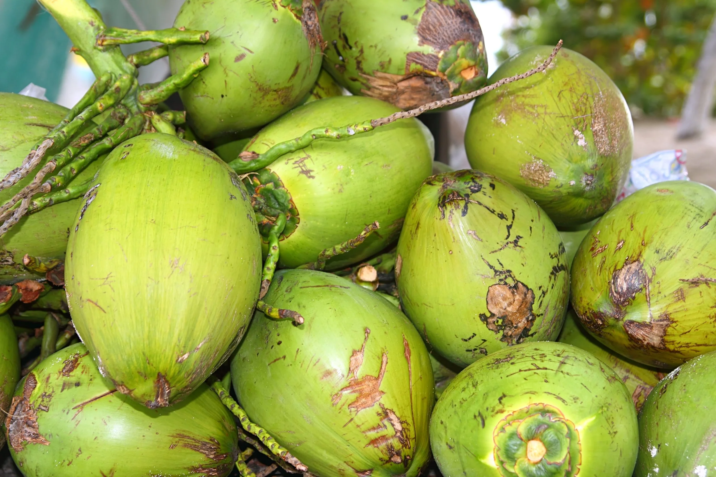 natural-abundance-paleo-cakes-extreme-fig-stout-healthy-auckland-coconut