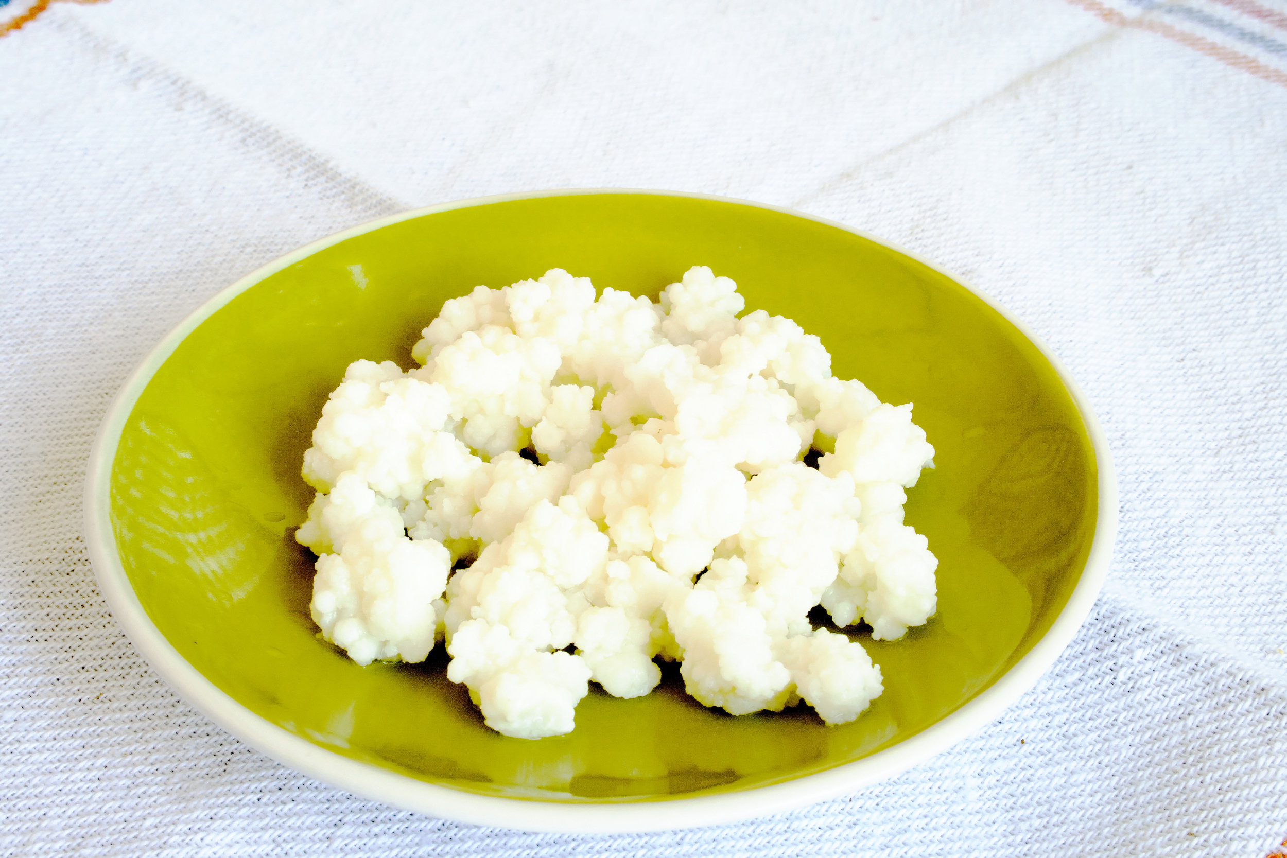 Milk Kefir Grains Green Plate 130502.jpg