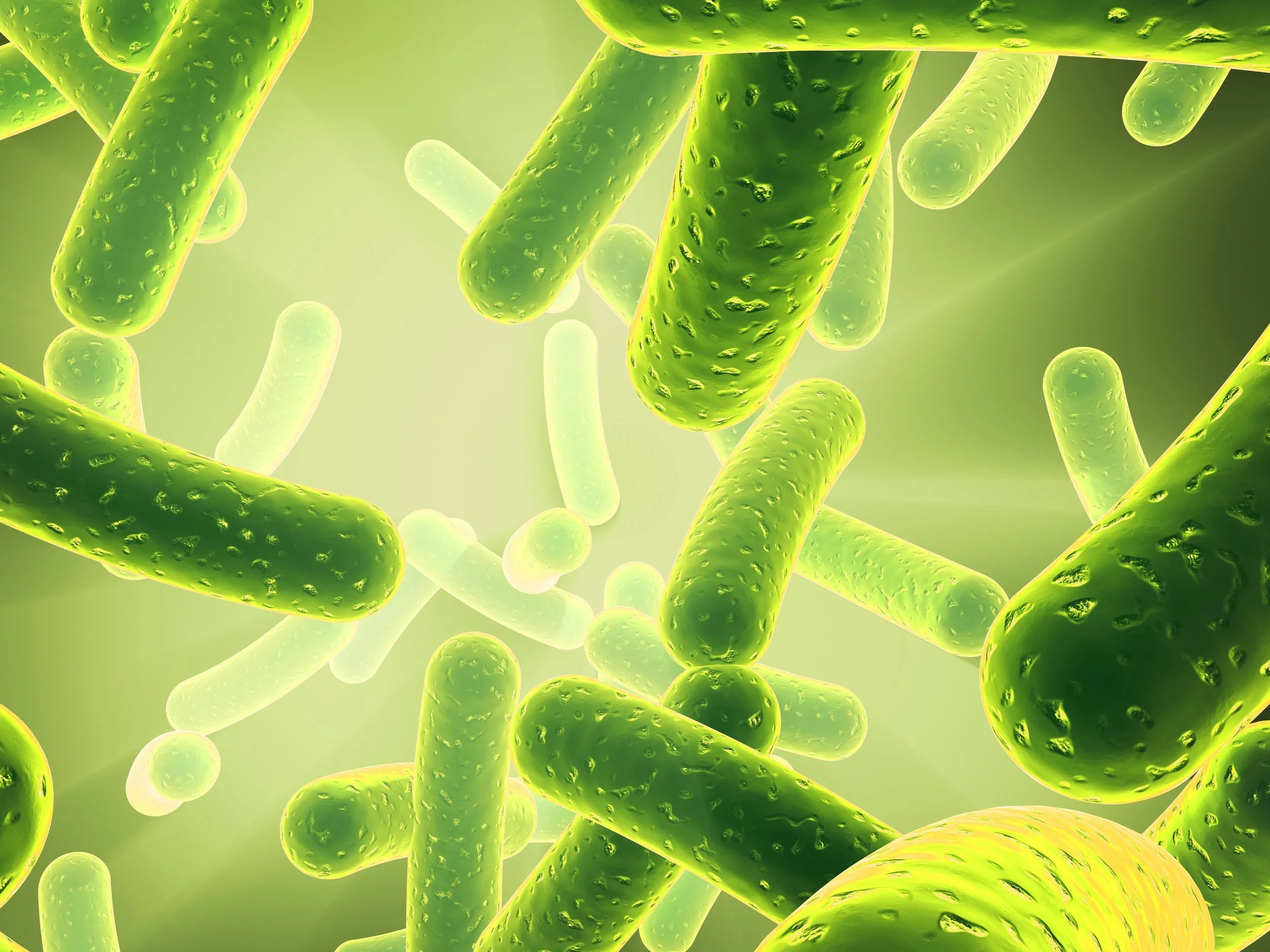 Bacteria Green & Yellow Landscape 130425.jpg