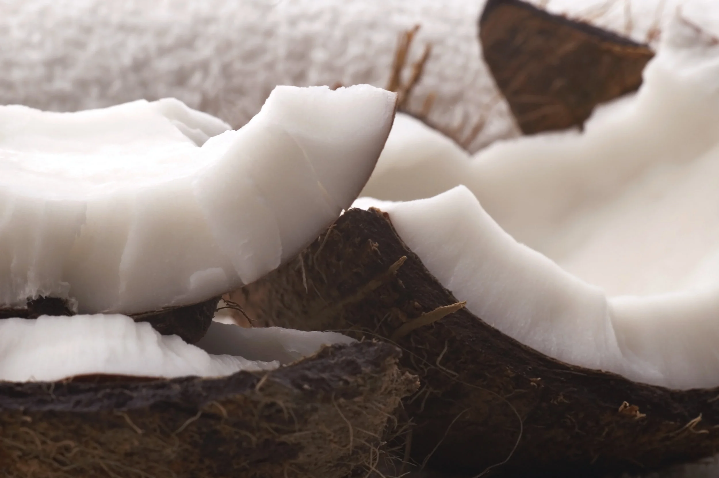 Chunks of Coconut Flesh in Shell Landscape 130315.jpg