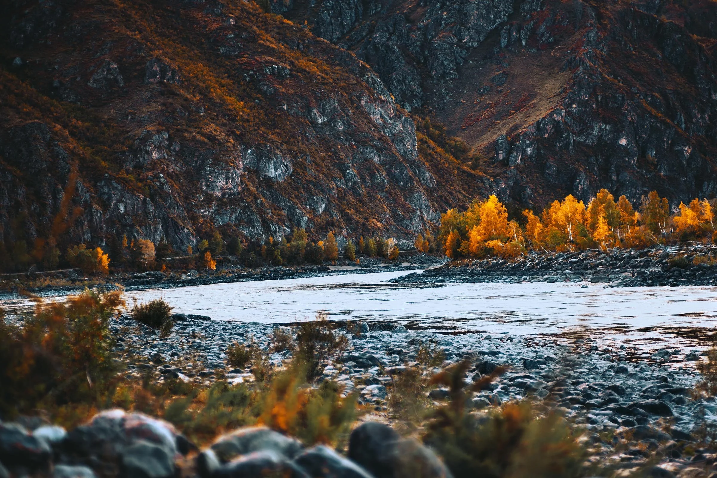 autumn-scenery-in-mountains-river-ACSL8UG copy.jpg