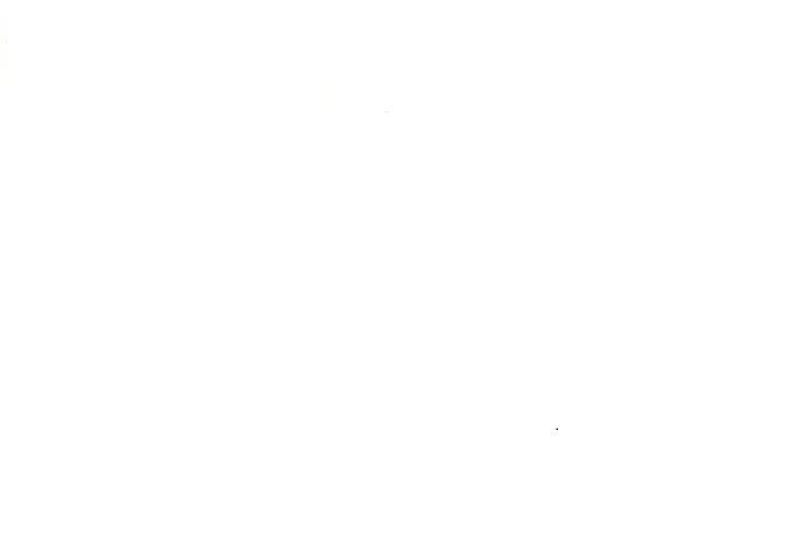 Vorlage_Größe740-493.jpg