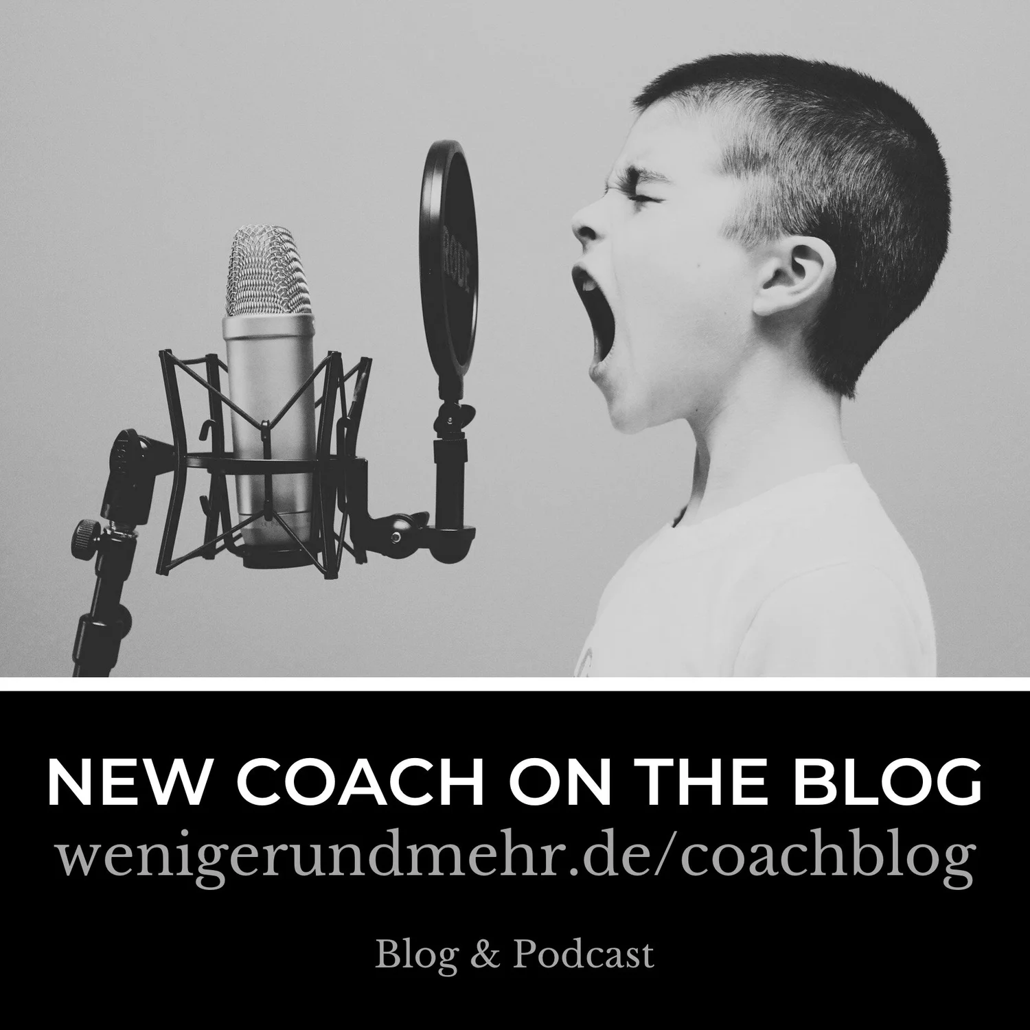 WENIGER. UND MEHR. podcast artwork