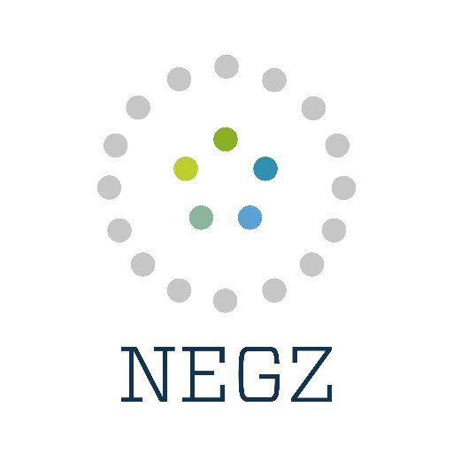 NEGZ Logo SQUARE.jpeg