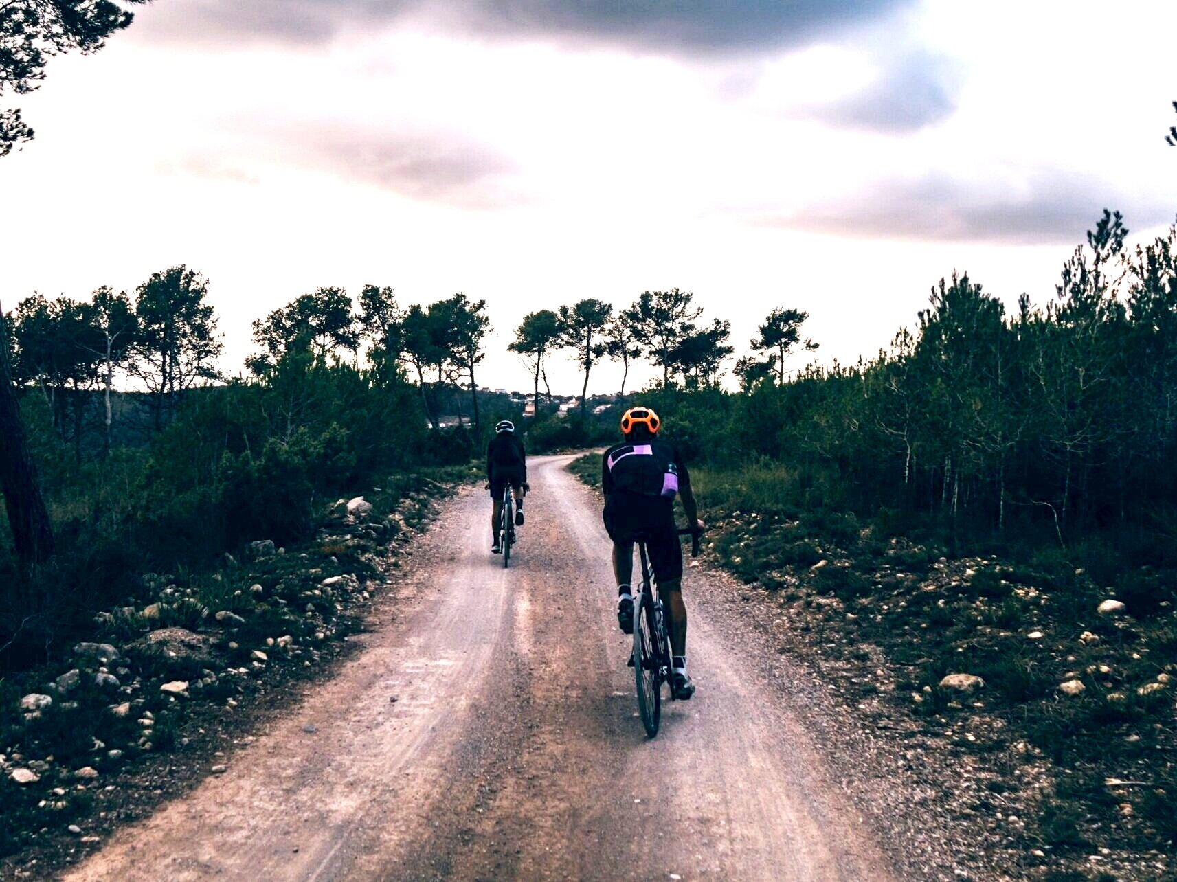 Gravel Bikes